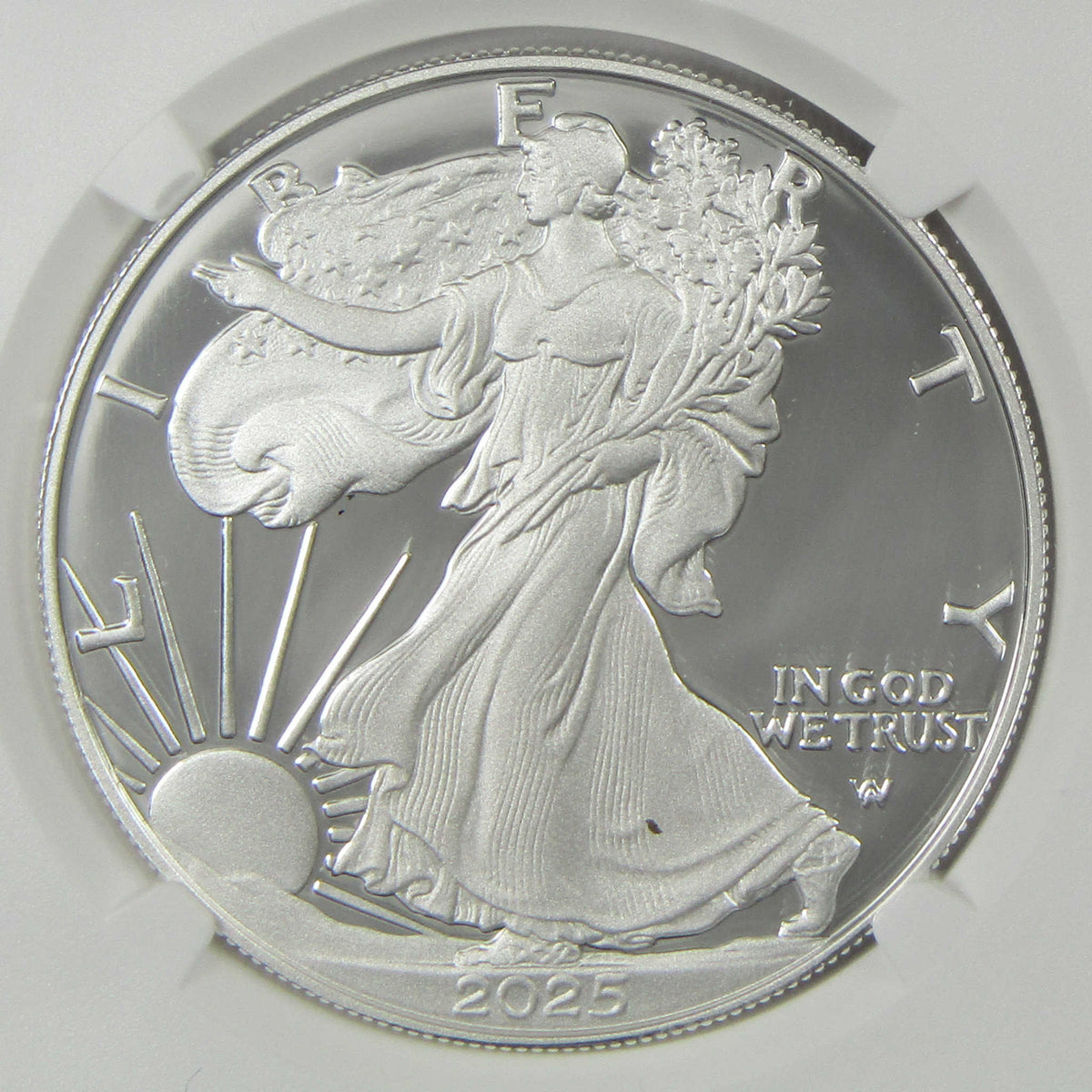 2025 S American Silver Eagle PF 70 UCAM NGC Proof $1 Coin First Day