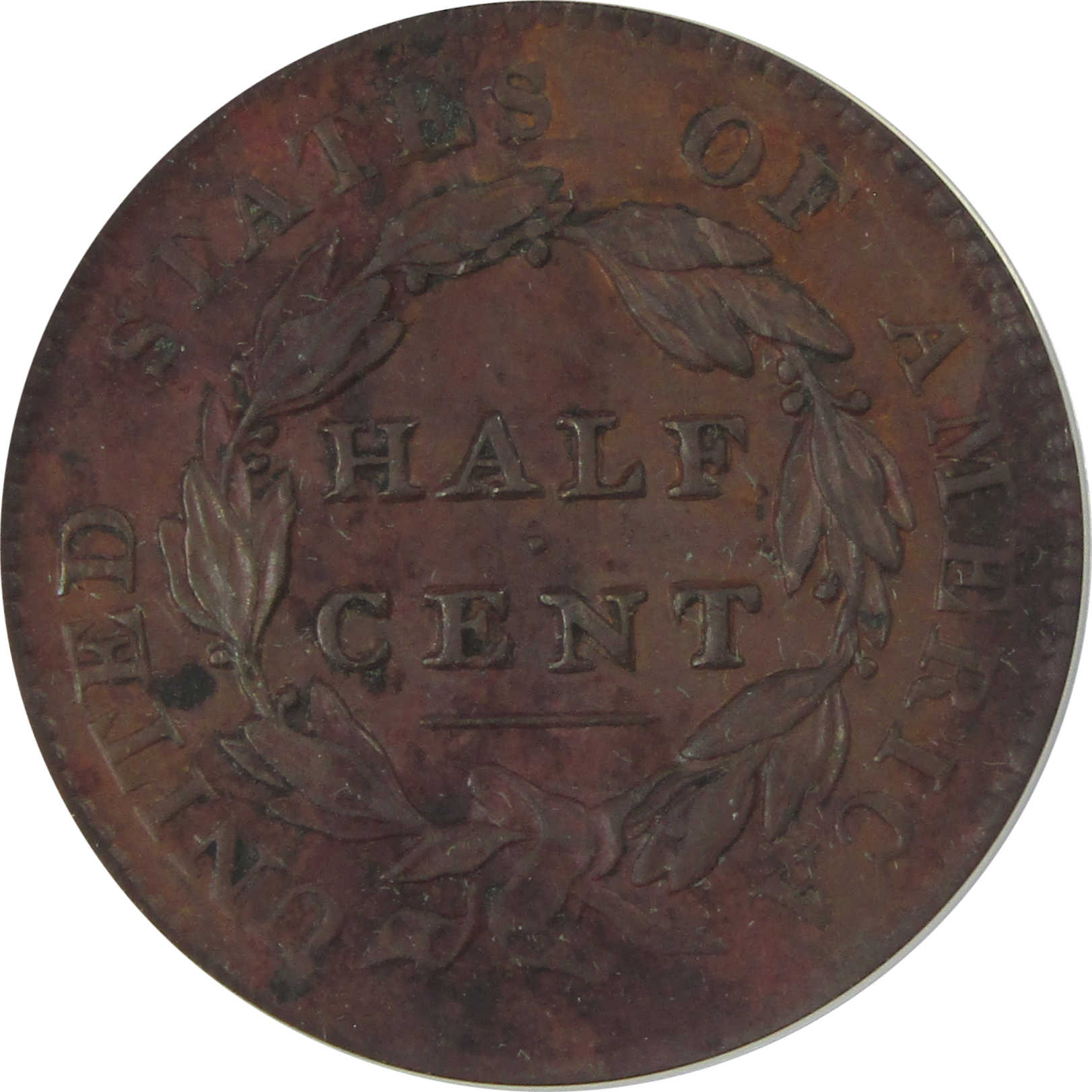 1828 13 Stars C-3 Classic Head Half Cent AU 55 Details ANACS SKU:CP180