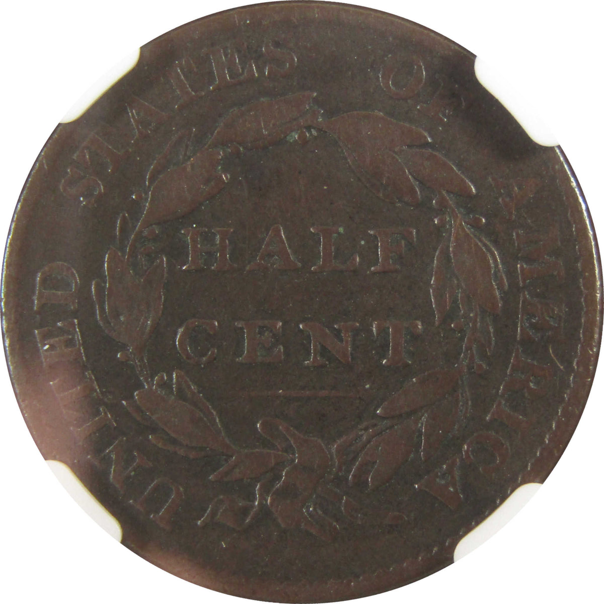 1826 Classic Head Copper Half Cent F Fine Details NGC Coin SKU:I29325