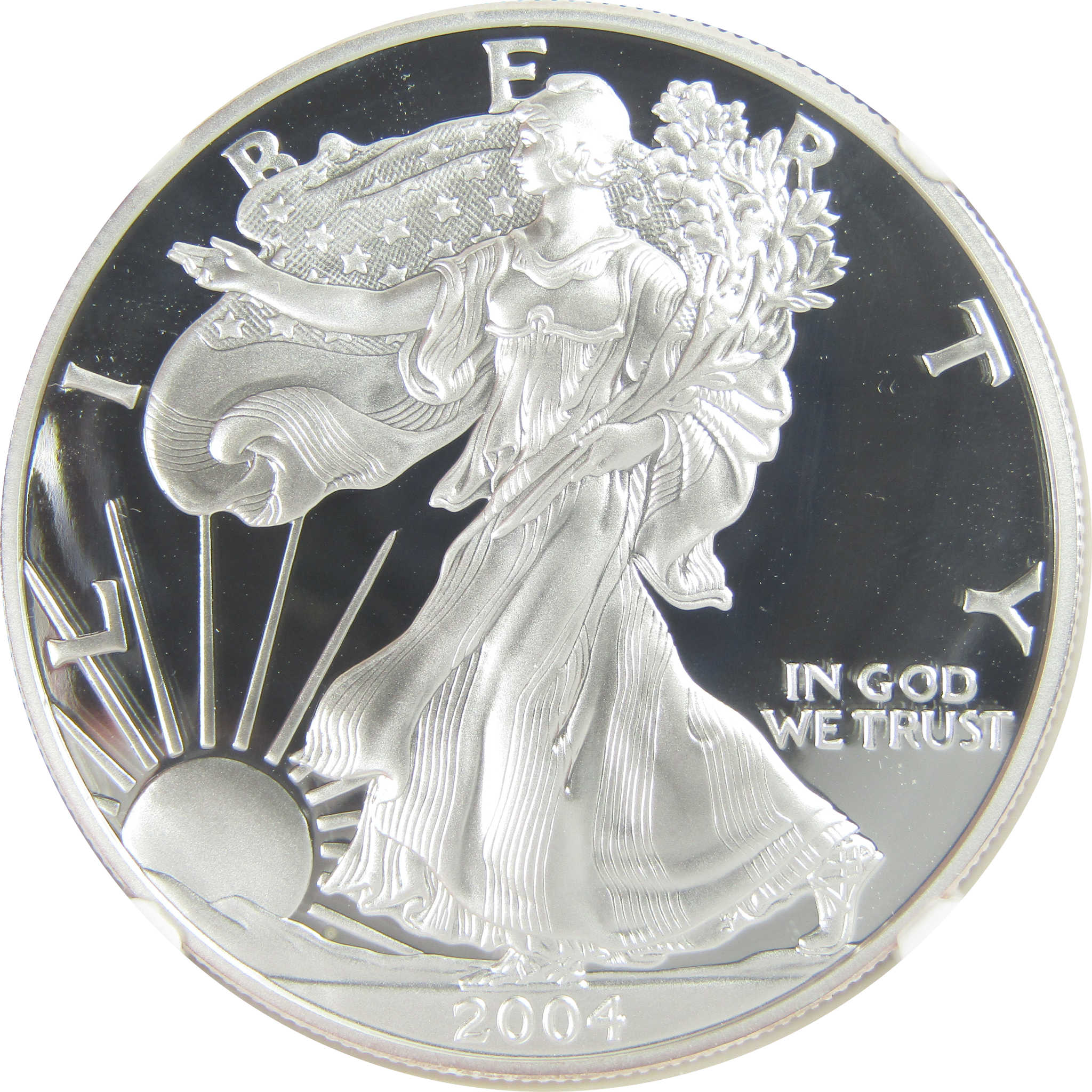 2004 W American Silver Eagle PF 70 UCAM NGC Proof $1 SKU:CPC9468