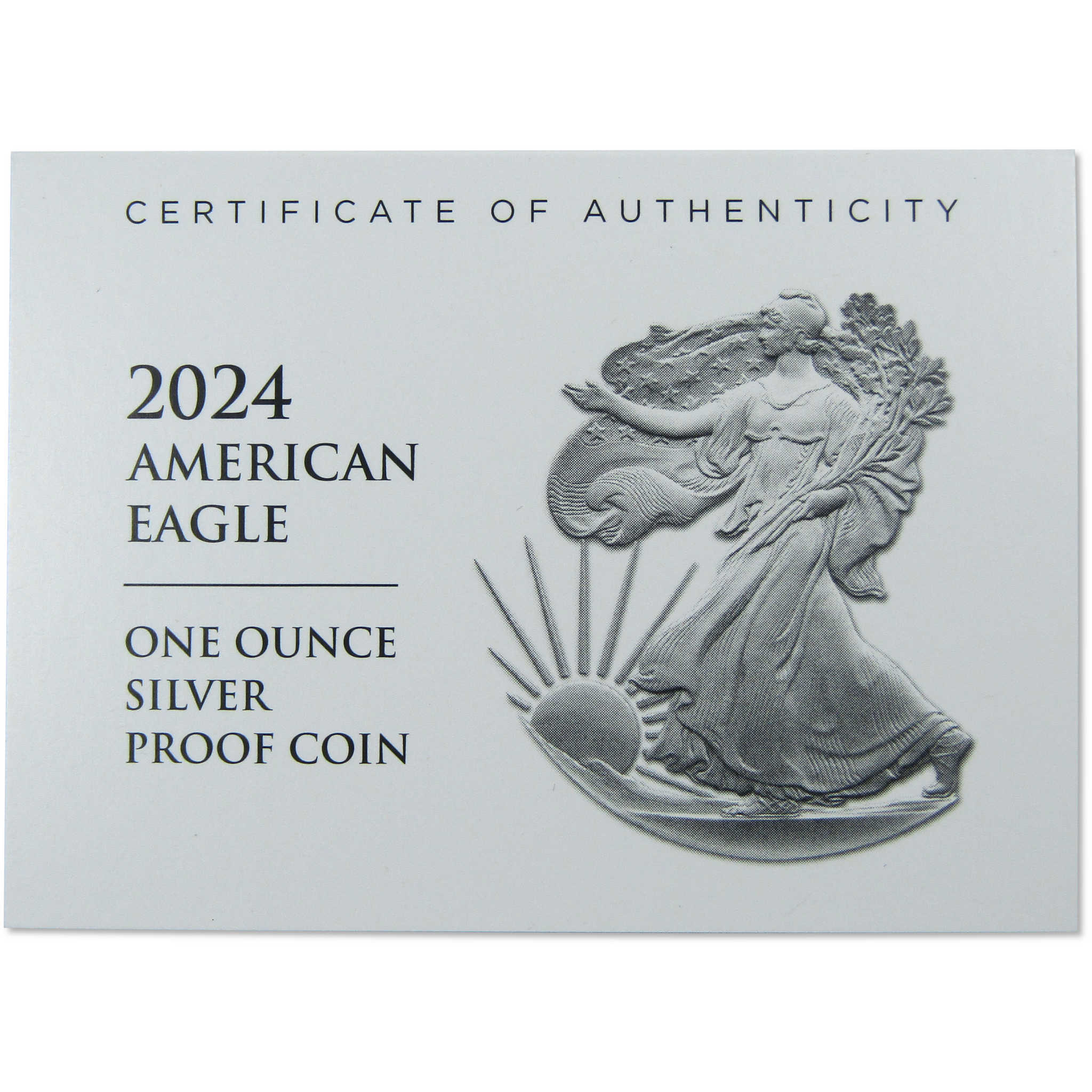 2024 W American Eagle Choice Proof 1 oz .999 Silver Bullion $1 OGP COA