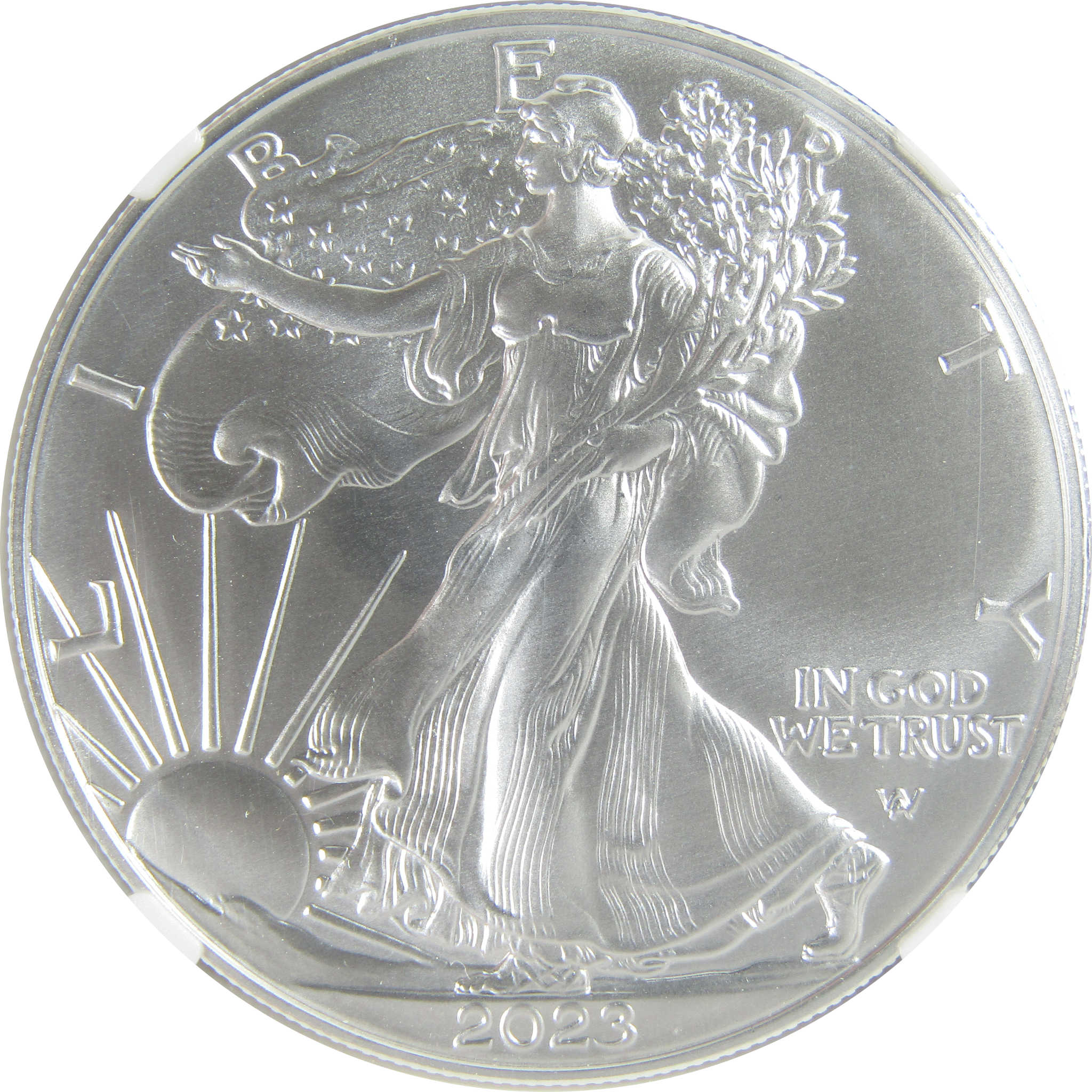 2023 (W) American Silver Eagle MS 70 NGC $1 Early Releases SKU:CPC9484