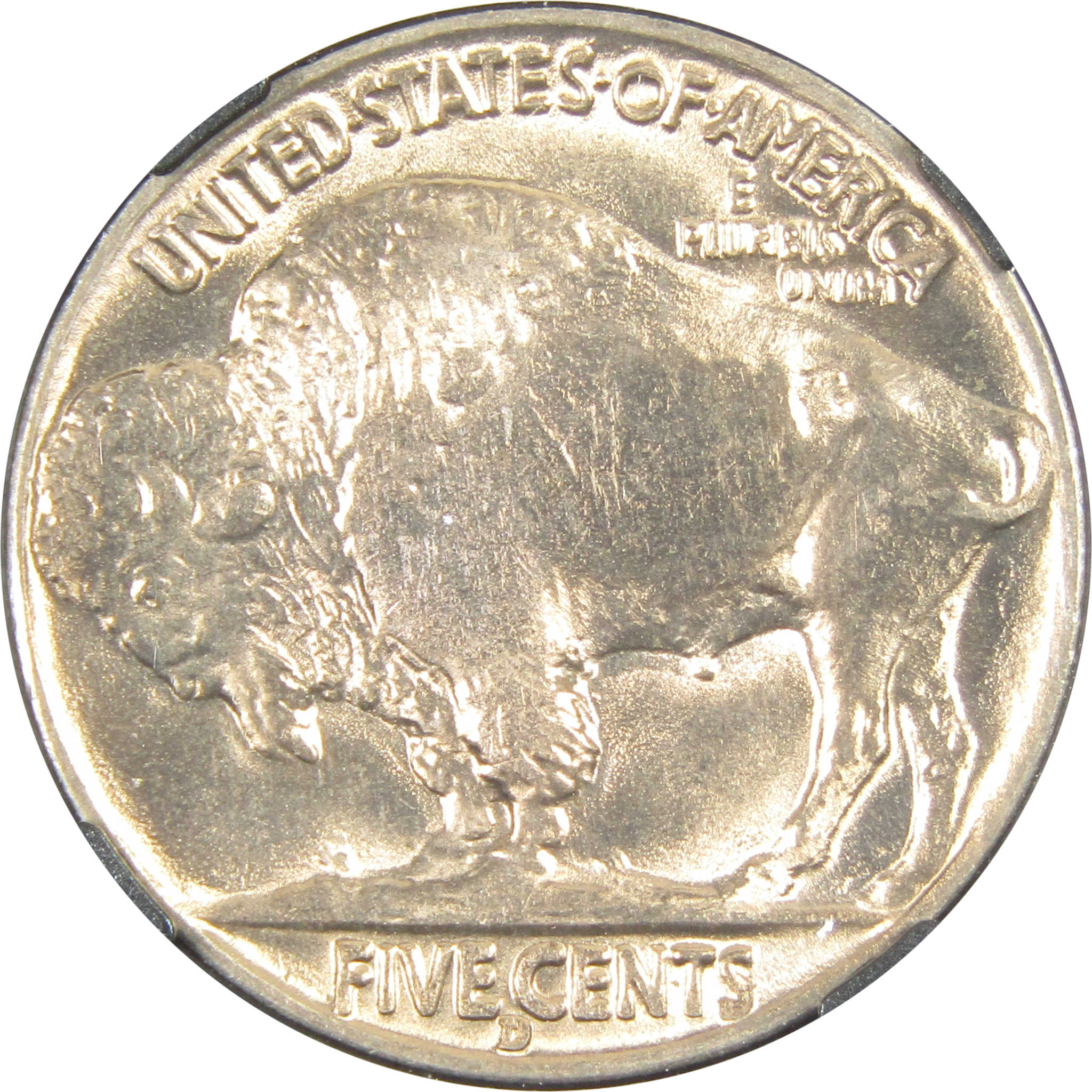 1938 D Buffalo Nickel MS 66 NGC 5c Original Bag Fragment SKU:I14596