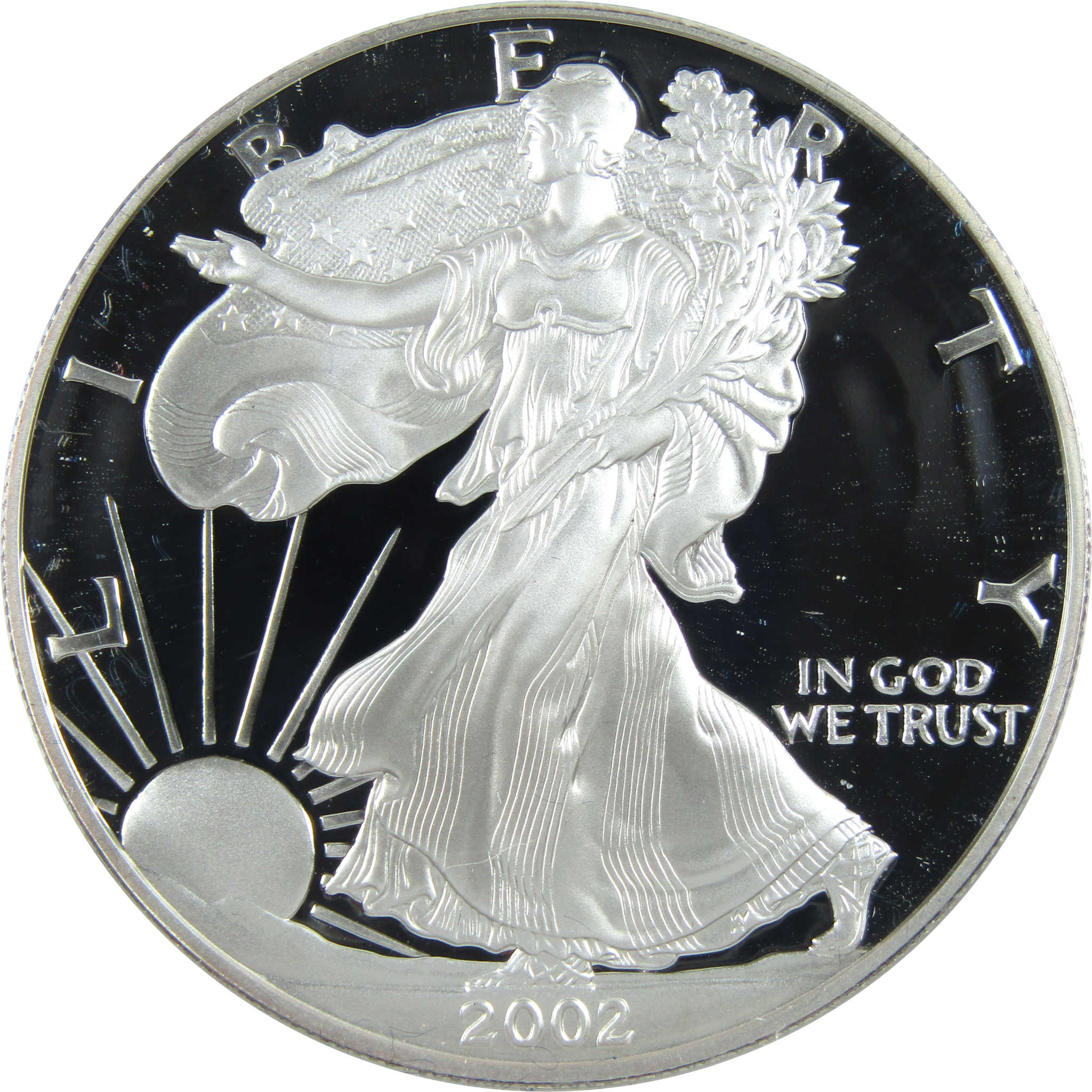 2002 W American Eagle Dollar 1 oz .999 Silver OGP COA SKU:CPC7877