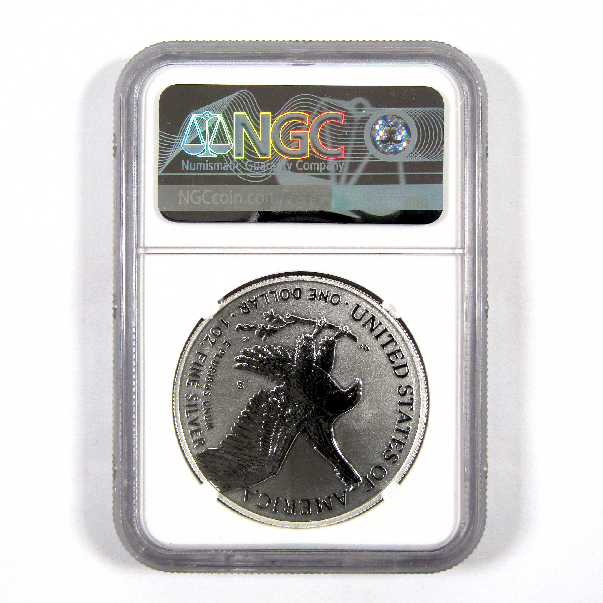 2021 S Type 2 American Eagle Dollar PF 69 NGC $1 SKU:CPC4086