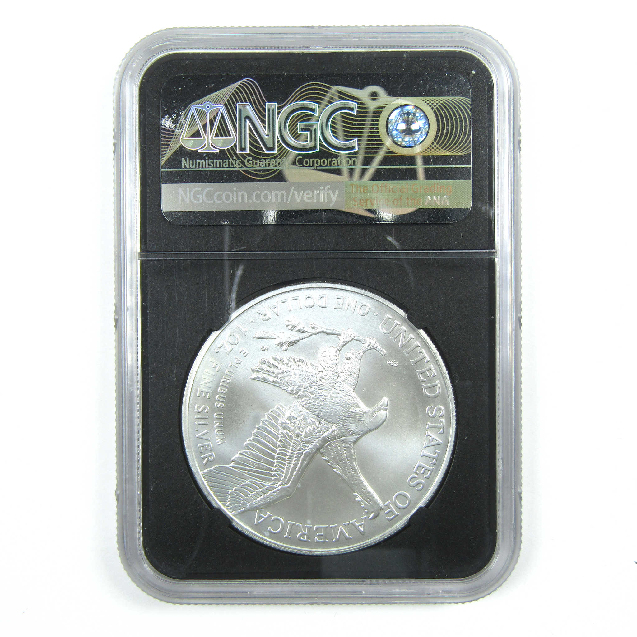 2022 American Eagle MS 70 NGC 1 oz 999 Silver Bullion SKU:CPC7008