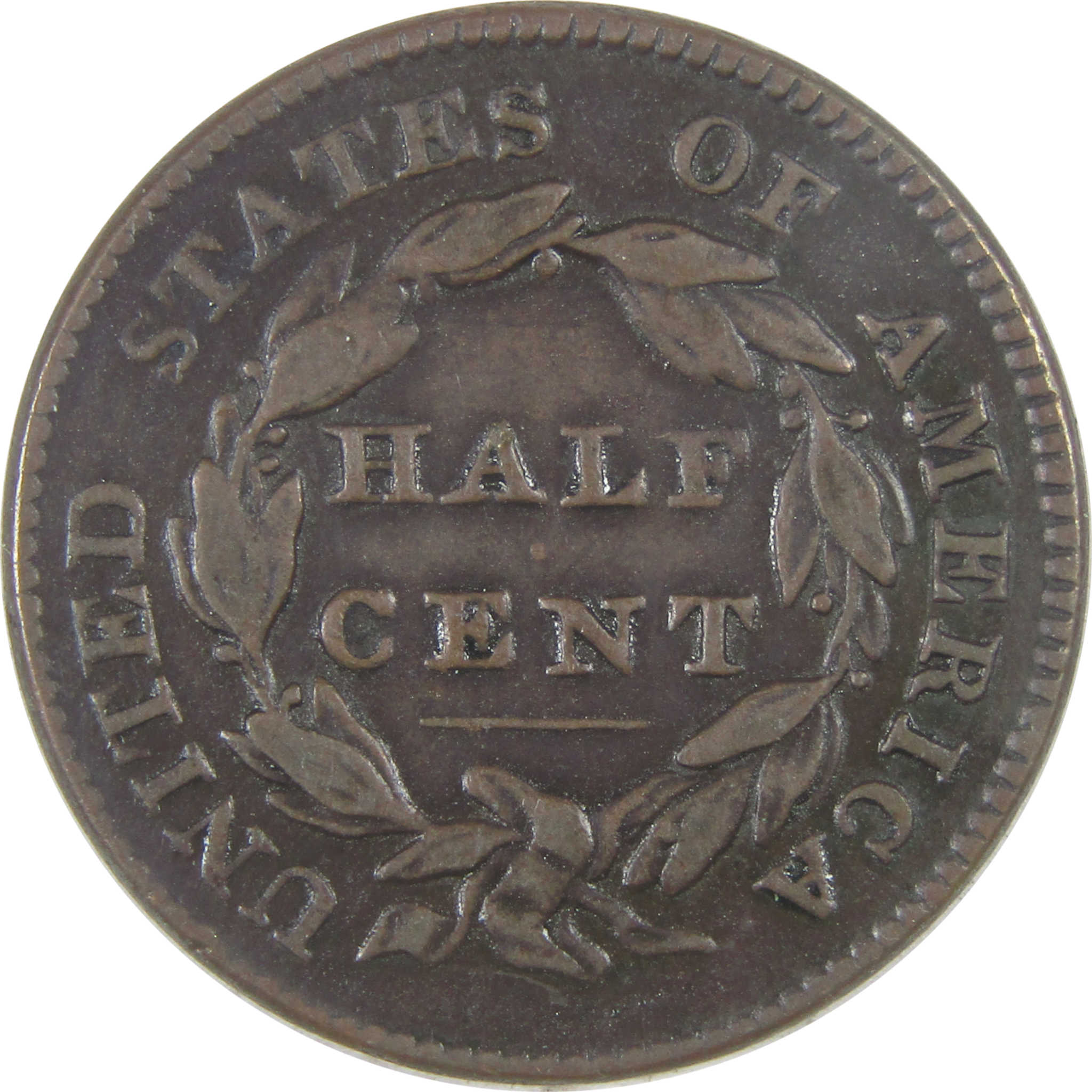 1828 12 Stars Classic Head Half Cent VF Very Fine Copper SKU:I17135