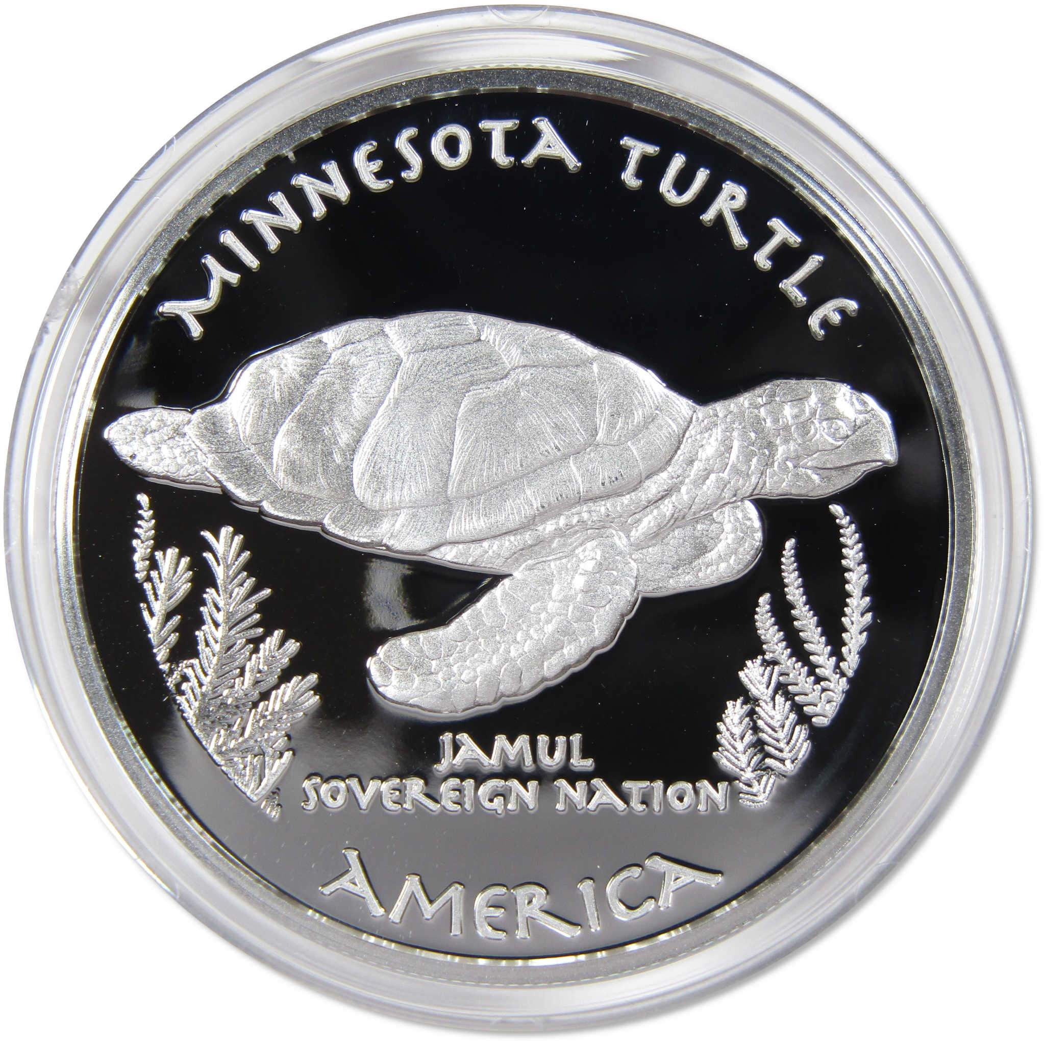 2019 Native American Jamul Dakota Minnesota Turtle 1 oz Silver Proof