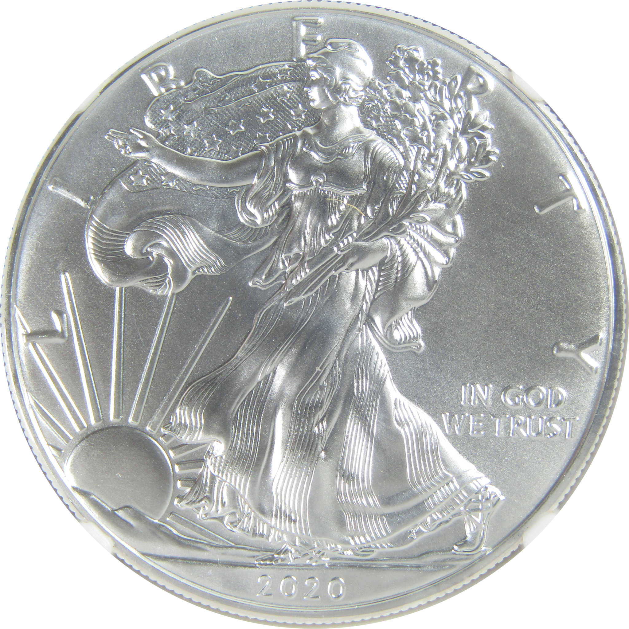 2020 (P) American Silver Eagle MS 70 NGC $1 Early Releases SKU:CPC9491