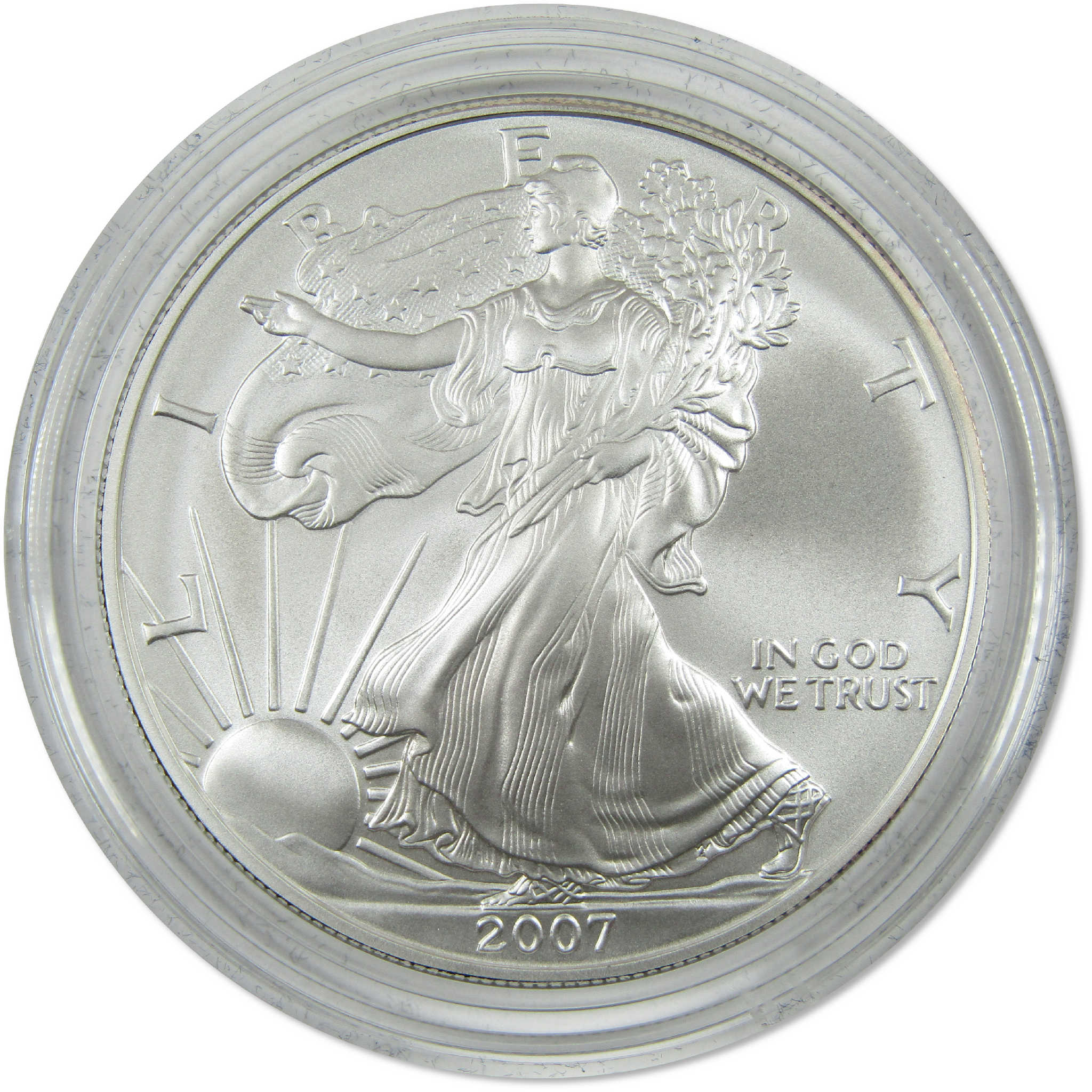 2007 W American Silver Eagle Uncirculated Burnished $1 Coin OGP COA