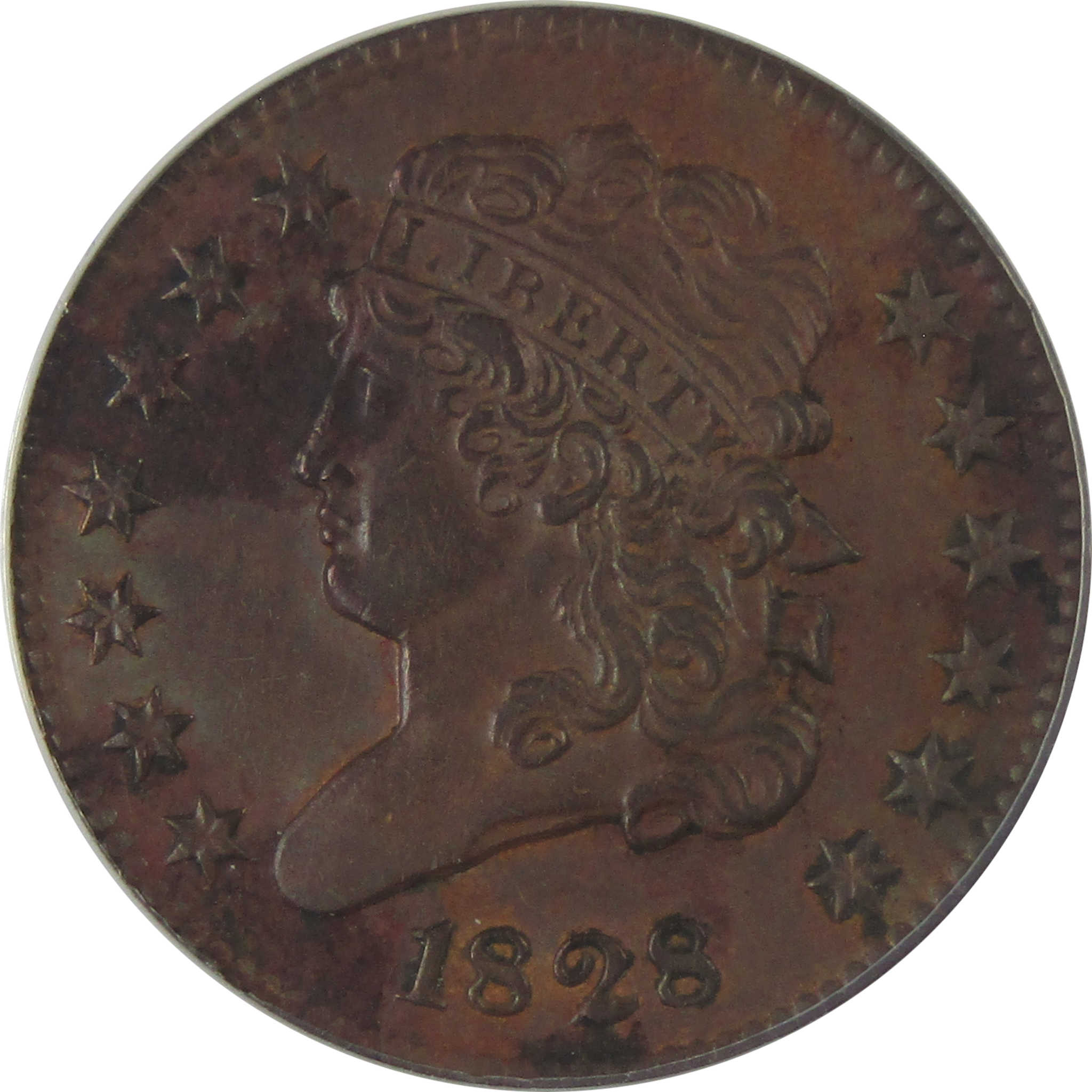 1828 13 Stars C-3 Classic Head Half Cent AU 55 Details ANACS SKU:CP180