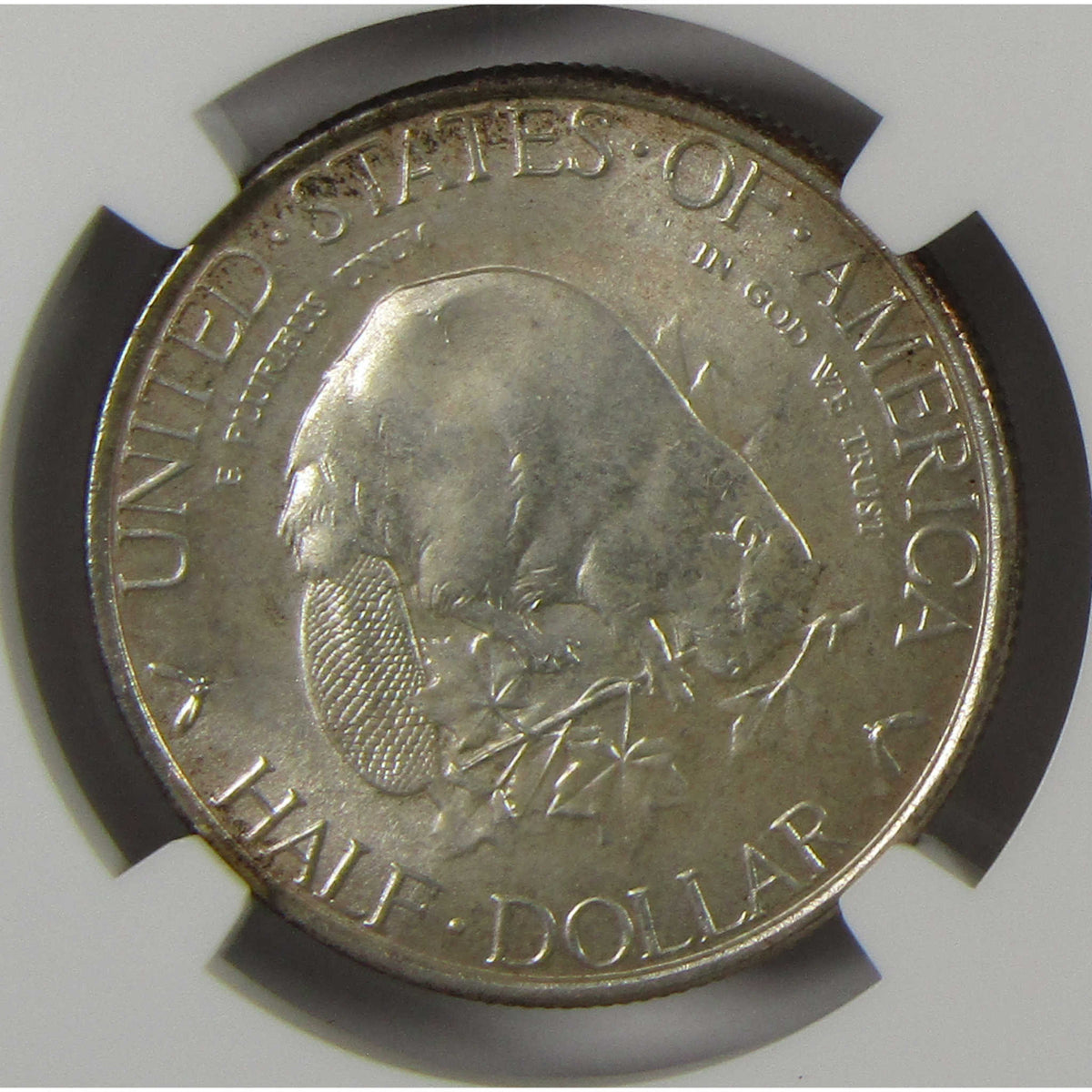 1936 Albany New York Charter Commemorative Silver 50c MS 66 NGC