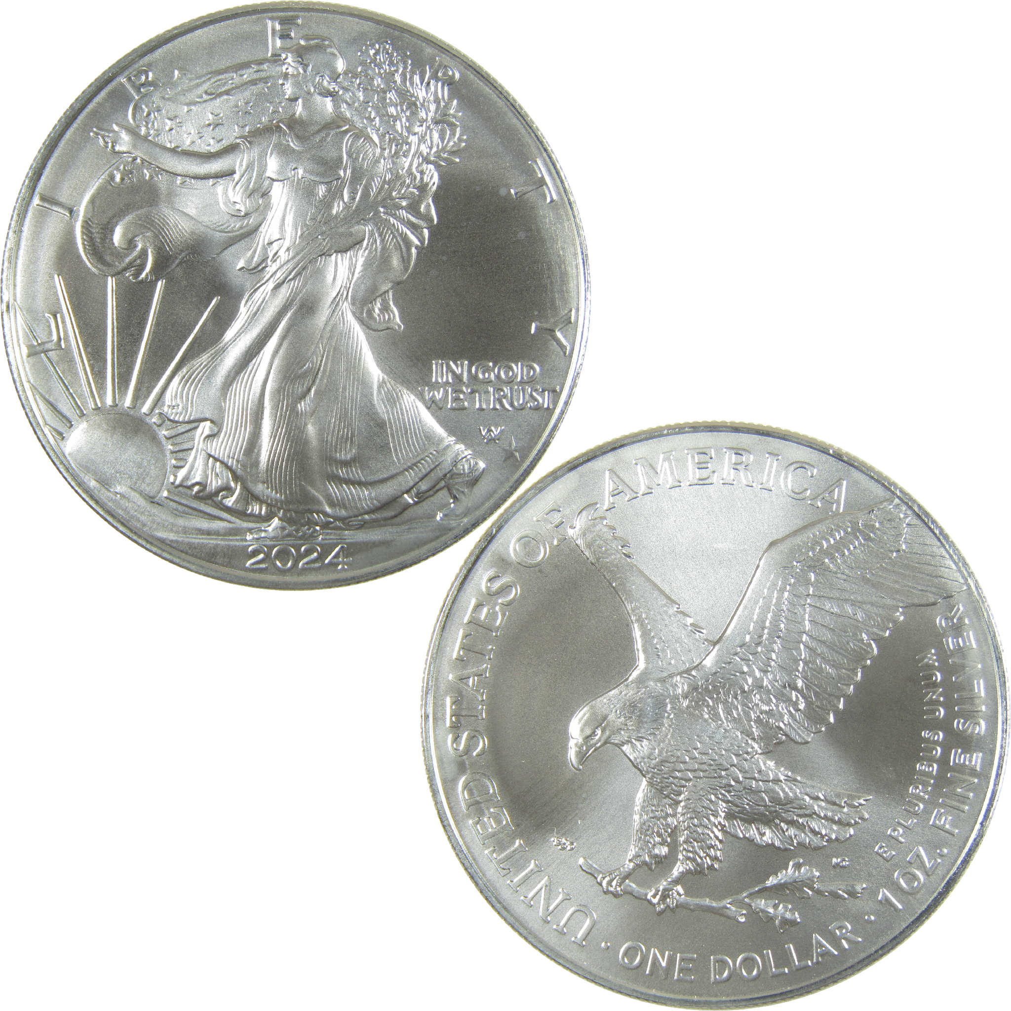 2024 (P) Star Privy Mark American Silver Eagle Uncirculated Coin