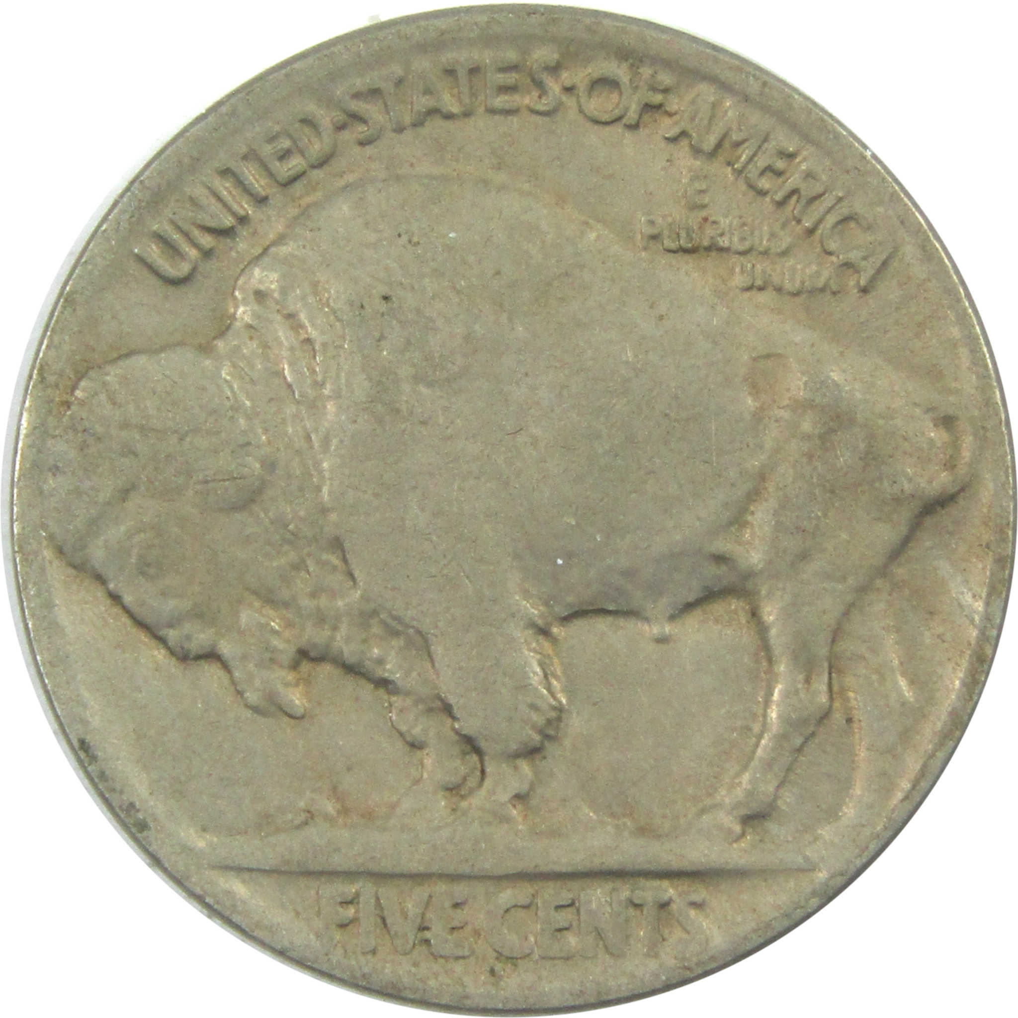 1919 D Indian Head Buffalo Nickel XF EF Extremely Fine 5c SKU:I15320