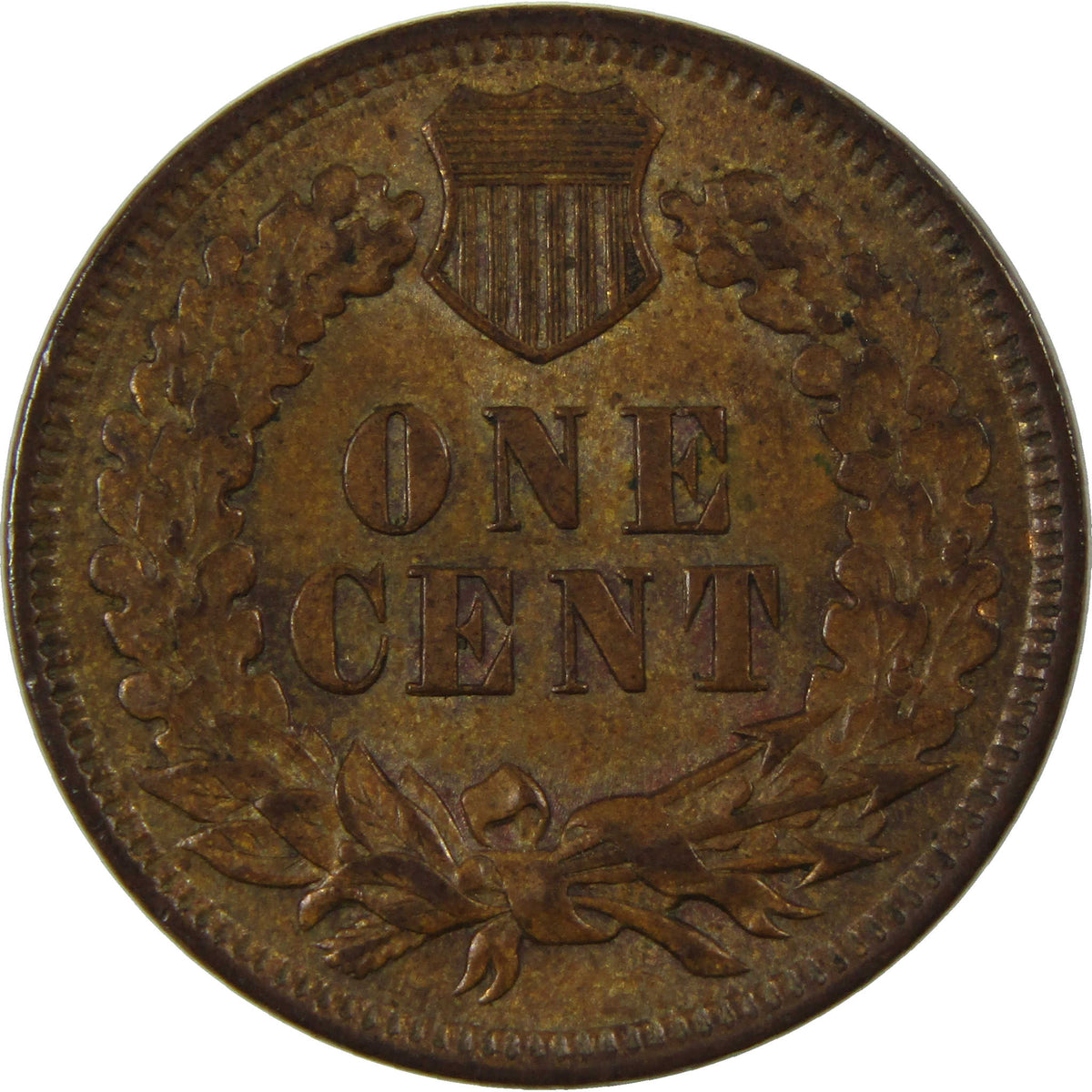 1899 Indian Head Cent Borderline Uncirculated Penny 1c Coin