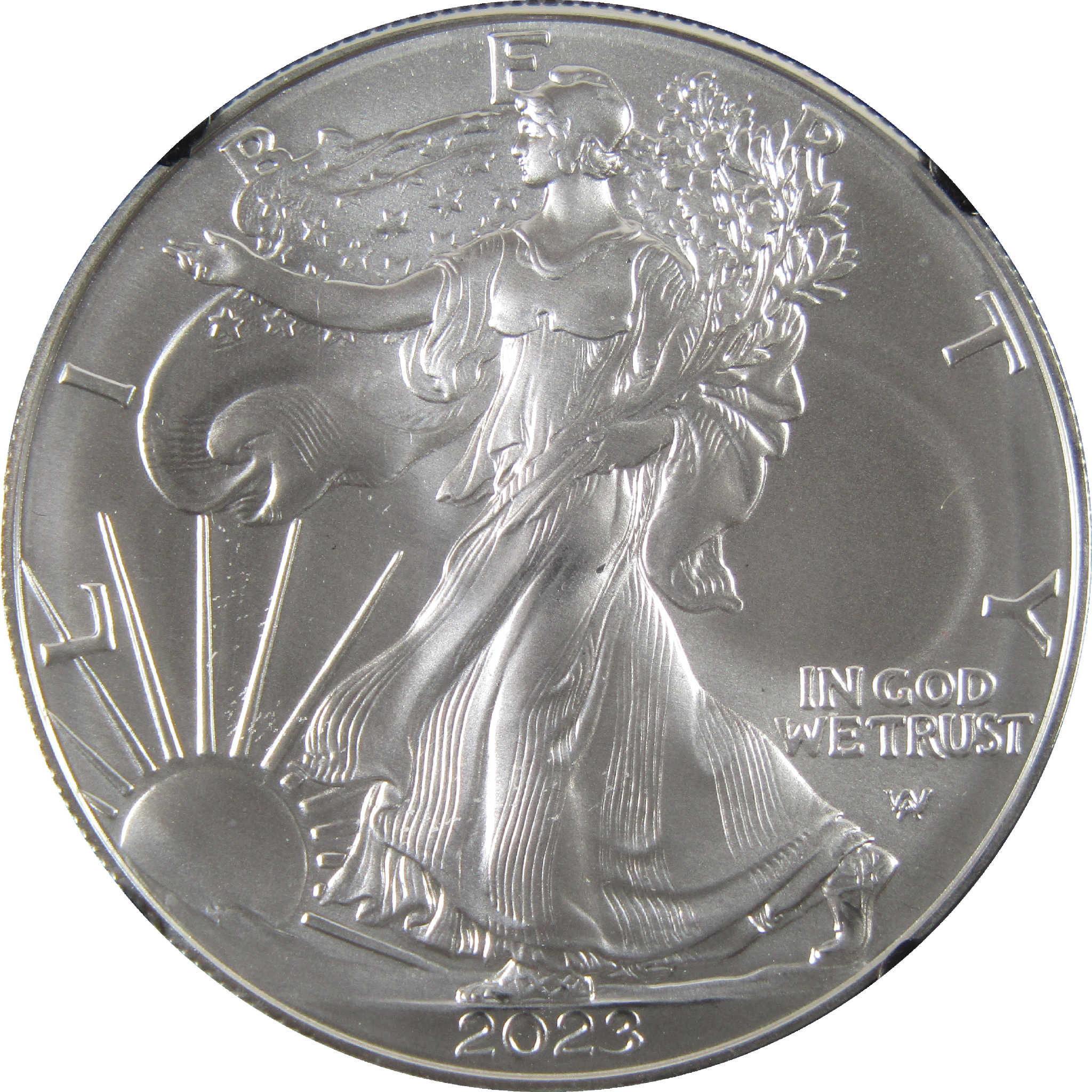 2023 American Silver Eagle MS 70 NGC $1 Unc SKU:CPC6438
