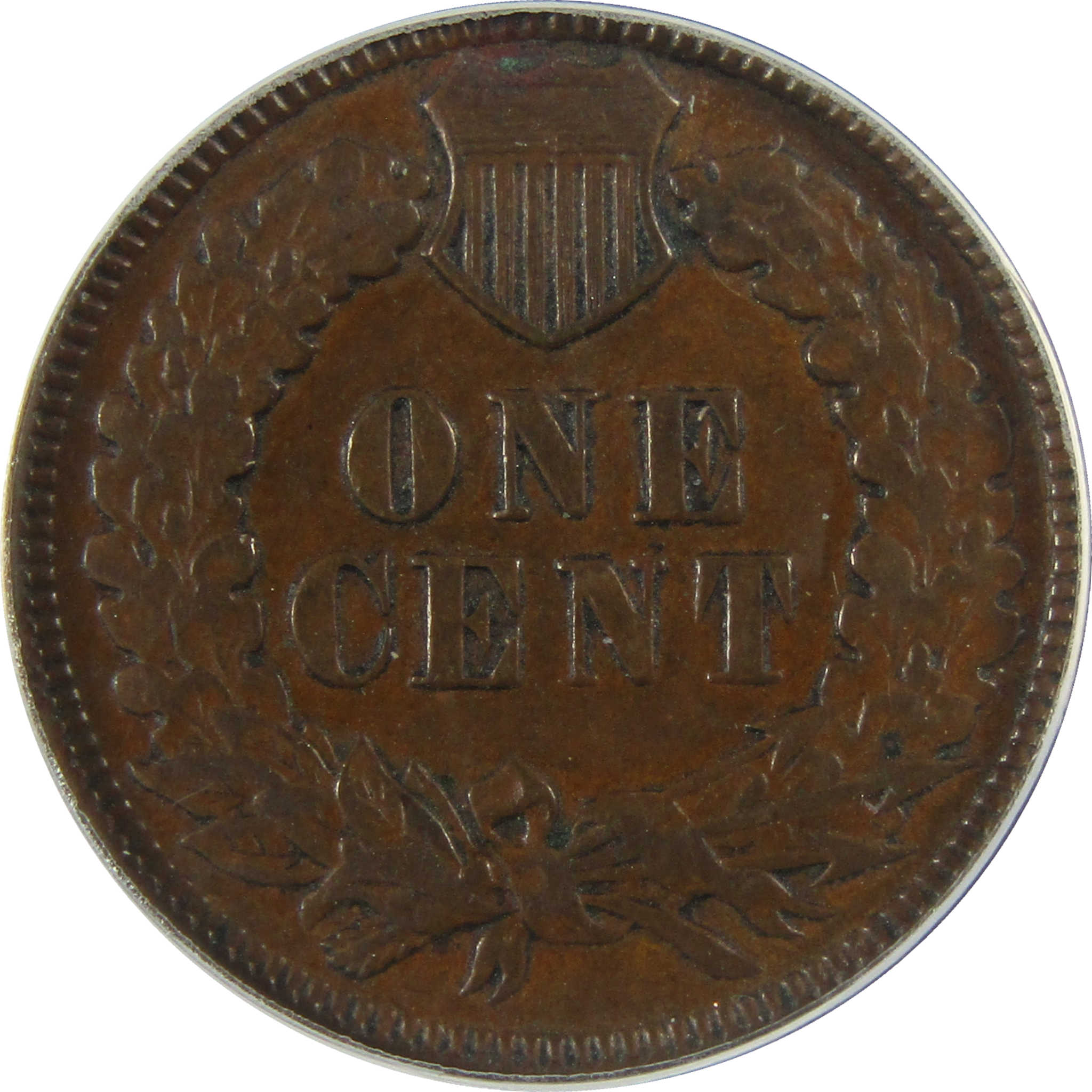 1886 Type 1 Indian Head Cent EF 45 ANACS Penny 1c Coin SKU:I28063