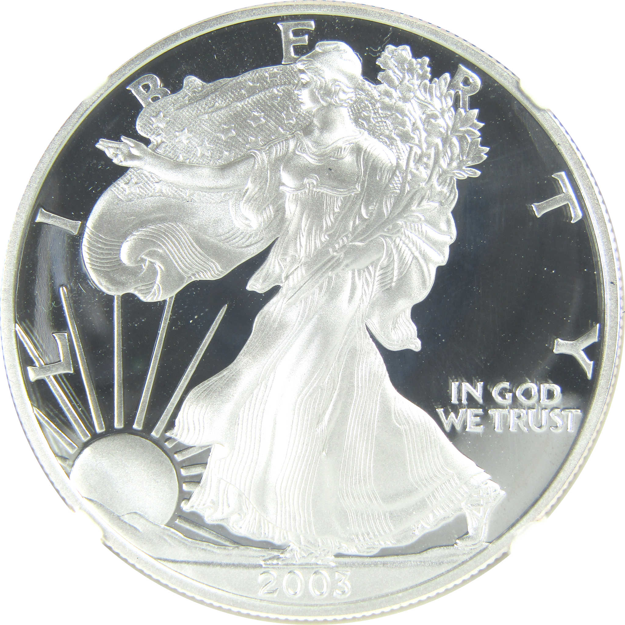 2003 W American Silver Eagle PF 69 UCAM NGC Proof $1 SKU:CPC9546