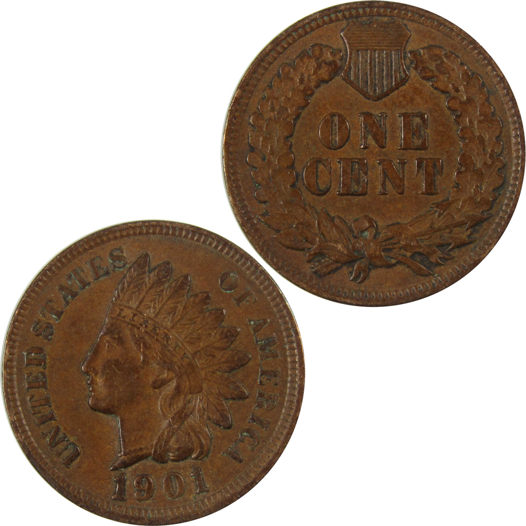 1901 Indian Head Cent XF EF Extremely Fine Penny 1c Coin SKU:I26927