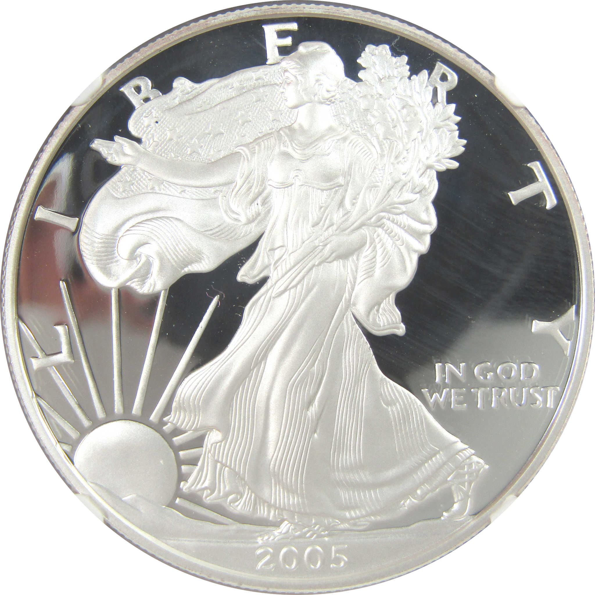 2005 W American Silver Eagle PF 69 UCAM NGC Proof $1 SKU:CPC9595