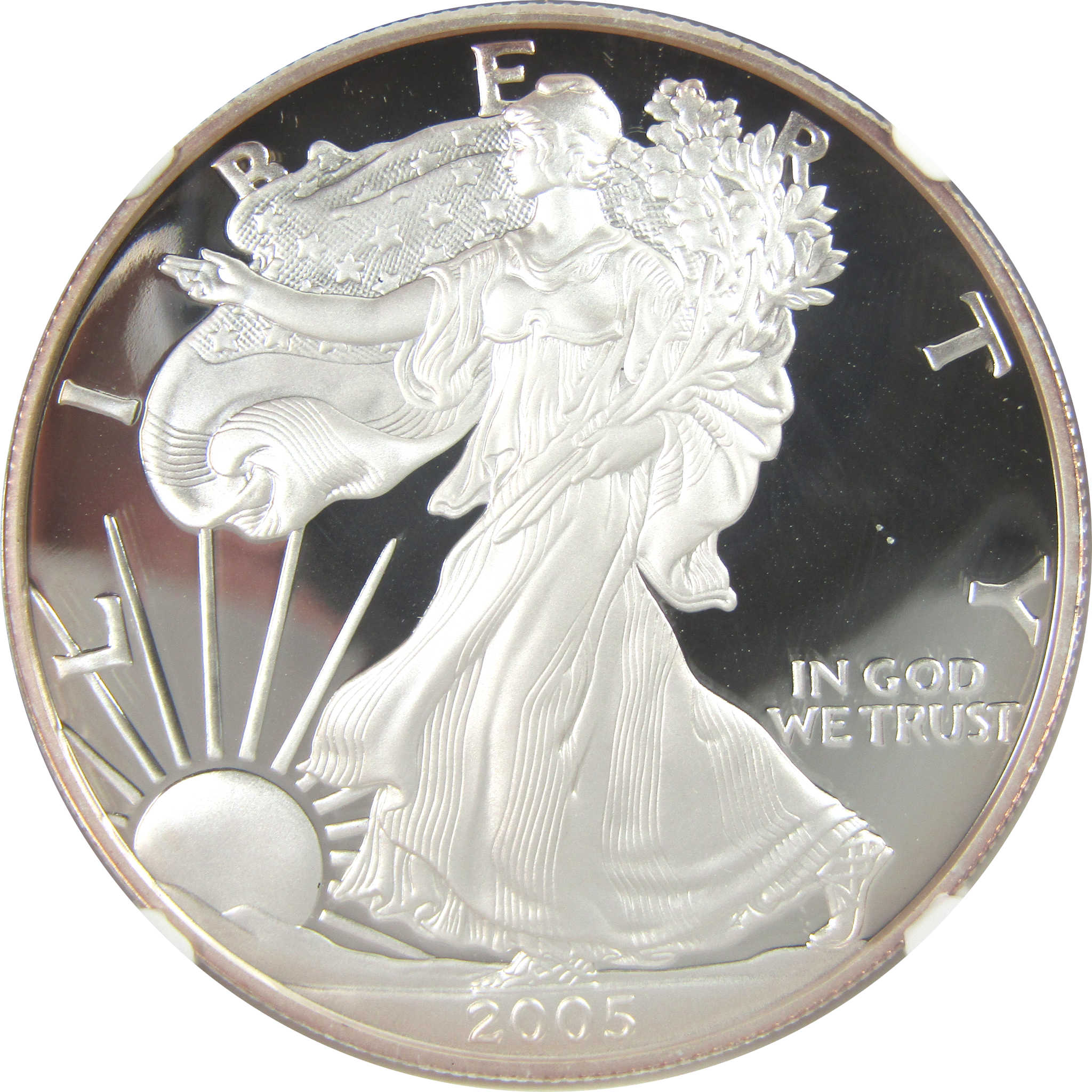 2005 W American Silver Eagle PF 69 UCAM NGC Proof $1 SKU:CPC9594