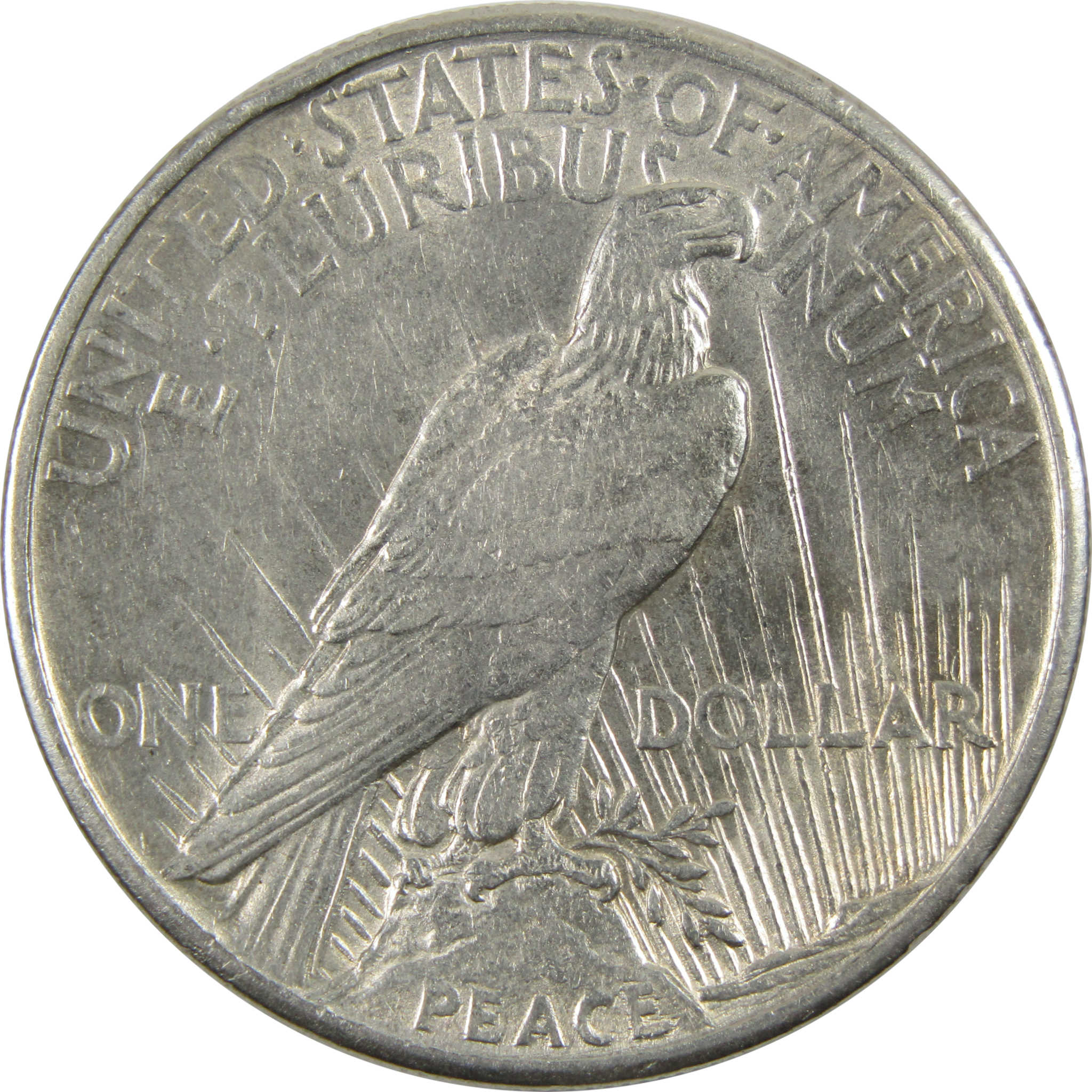1921 High Relief Peace Dollar XF EF Extremely Fine Details SKU:I9325