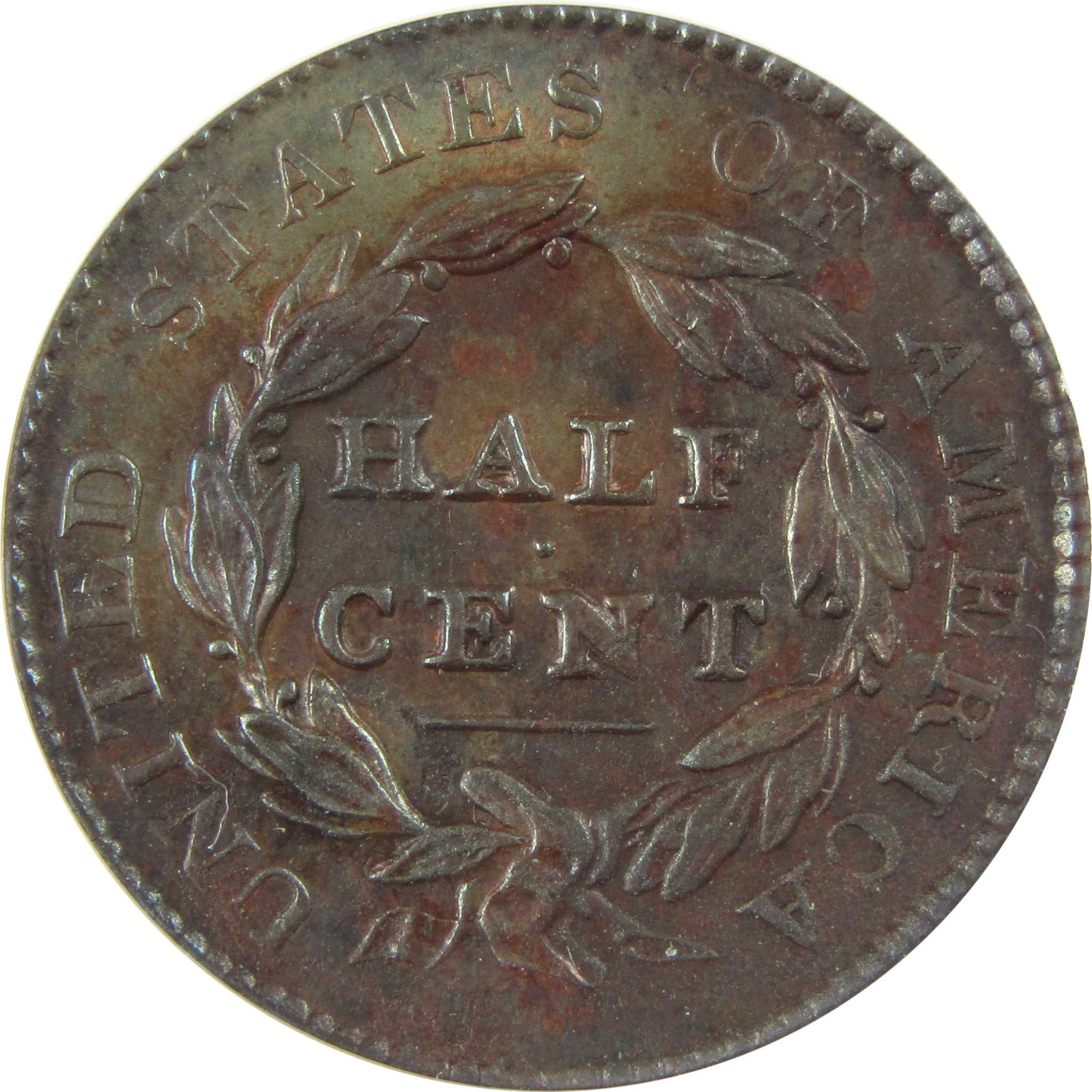 1828 13 Stars C-1 Classic Head Half Cent AU 55 Details ANACS SKU:CP634