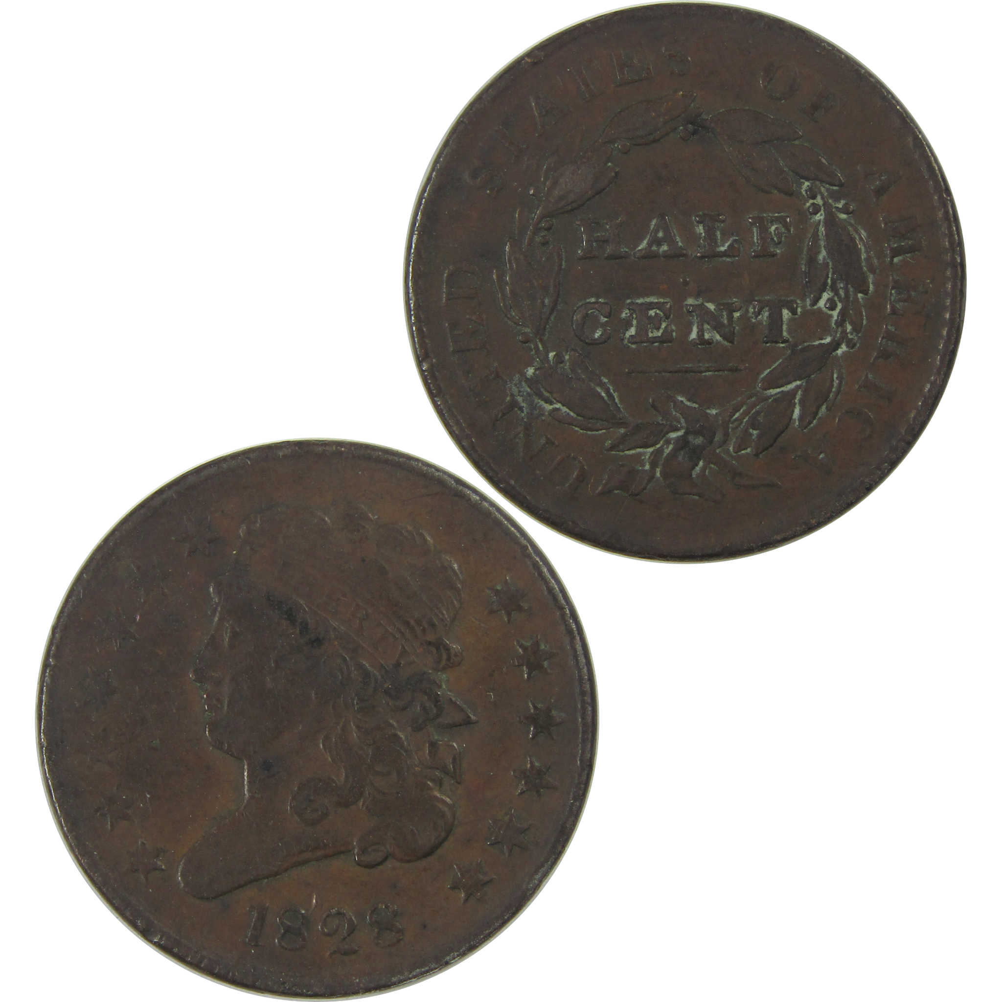 1828 13 Stars Classic Head Half Cent VF Details Copper SKU:CPC0570