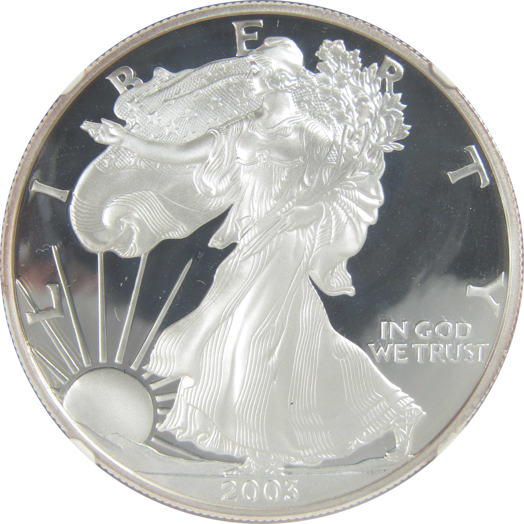 2003 W American Silver Eagle PF 70 UCAM NGC Proof $1 SKU:CPC9464