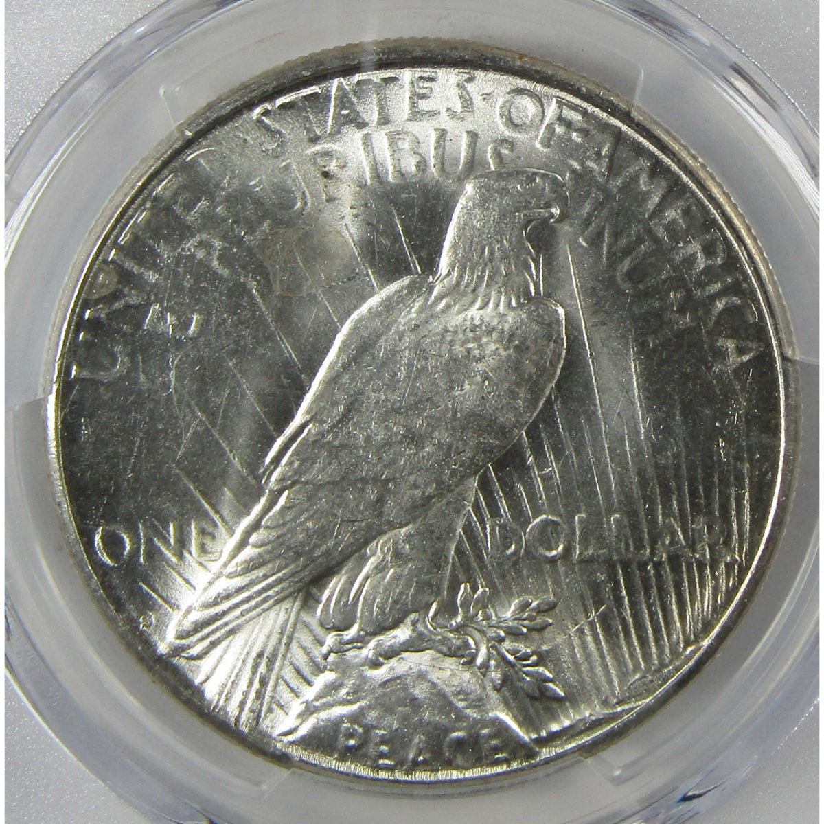 1923 S Peace Silver Dollar MS 62 PCGS Uncirculated $1 Coin Collectible