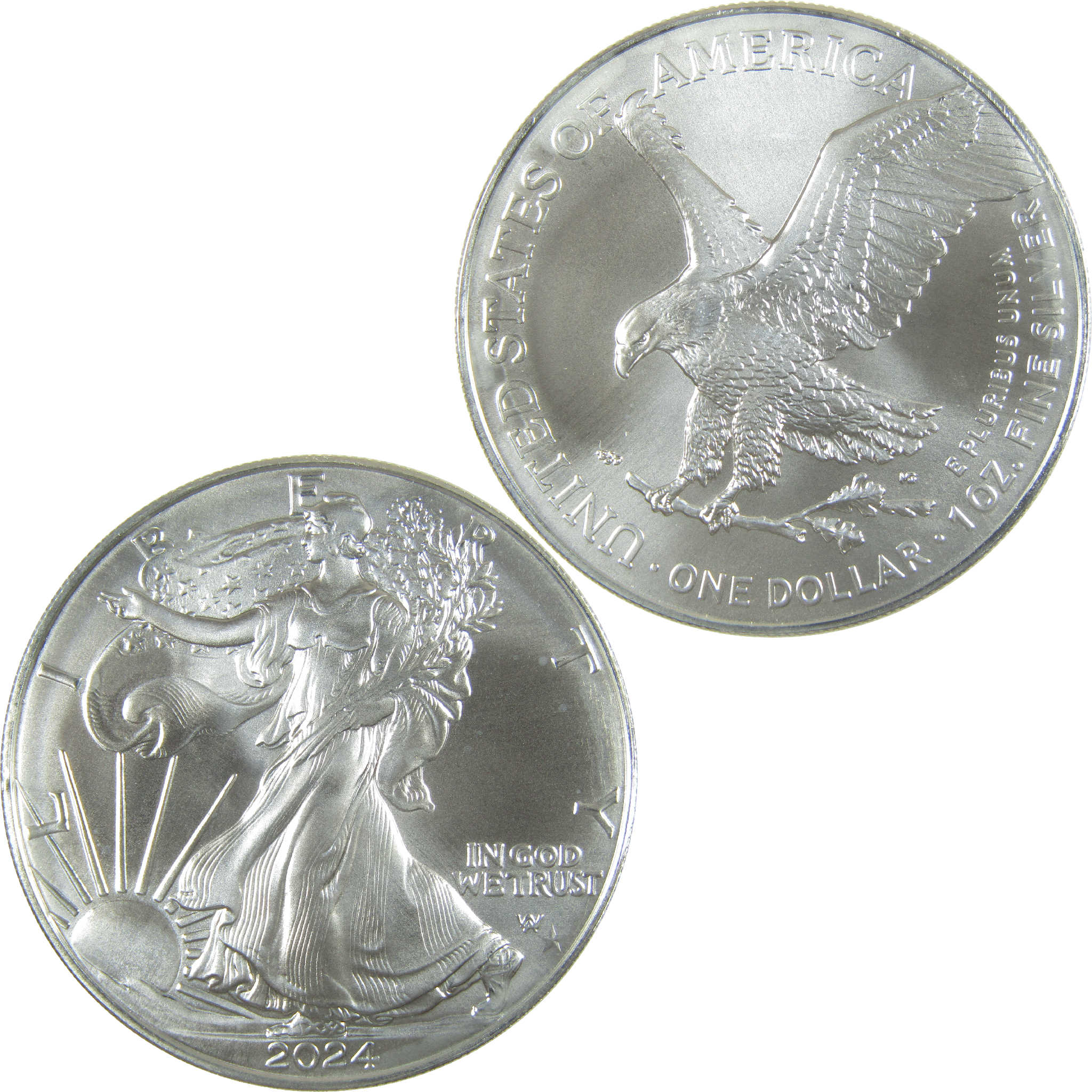 2024 (P) Star Privy Mark American Silver Eagle Uncirculated Coin