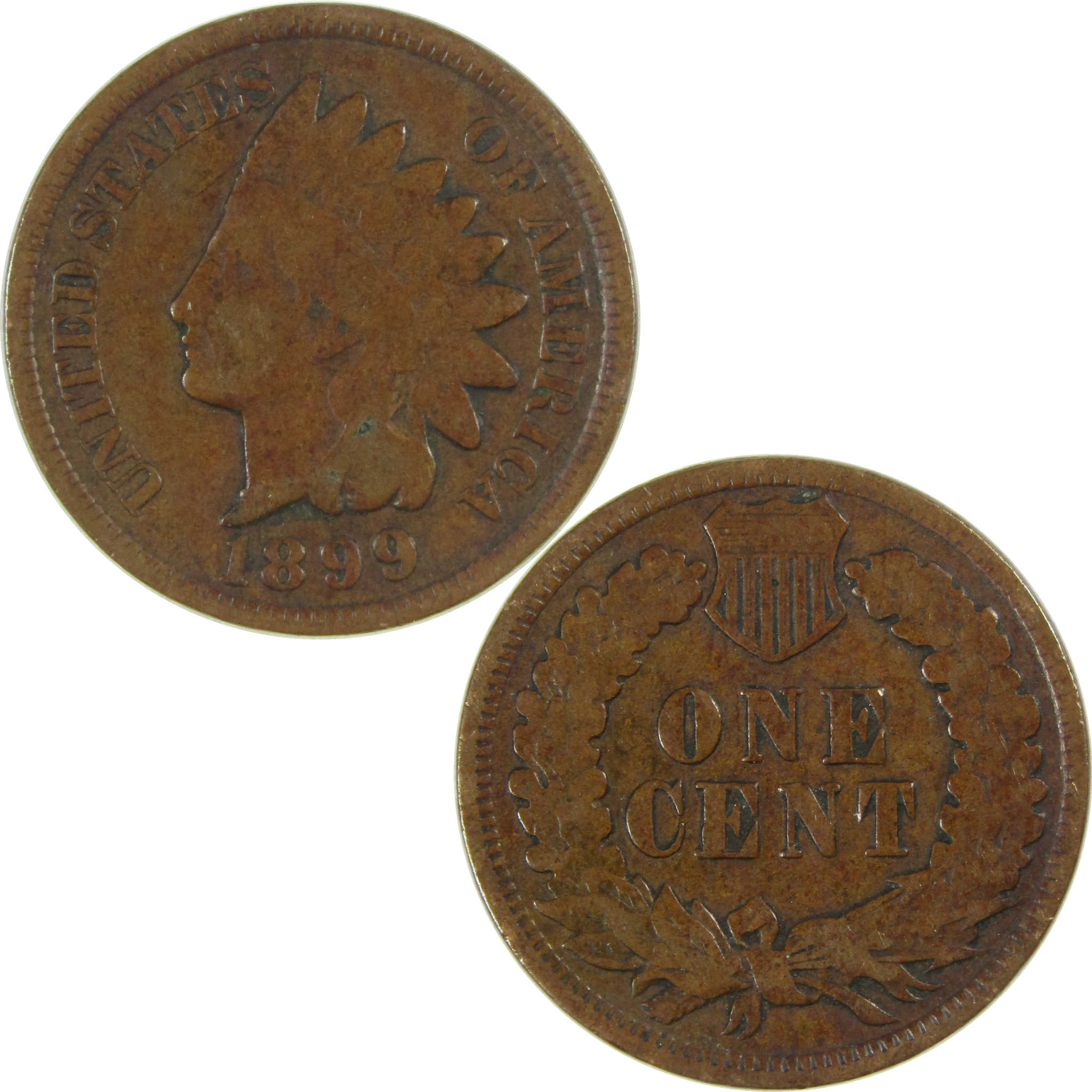 1899 Indian Head Cent G Good Penny 1c Coin Collectible SKU:I26812