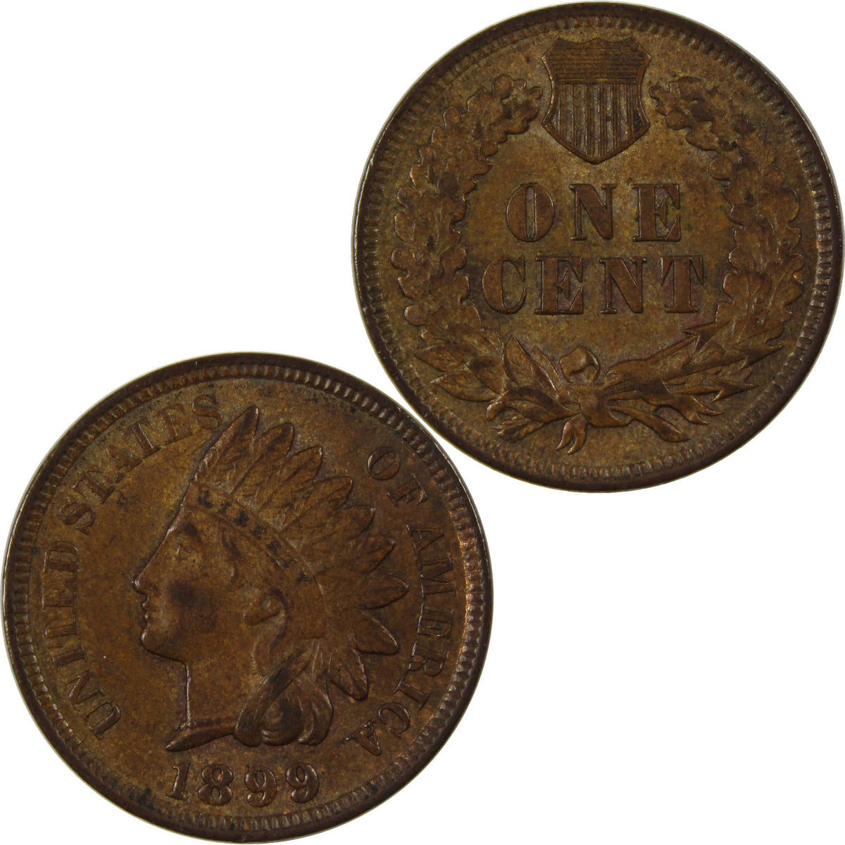 1899 Indian Head Cent Borderline Uncirculated Penny 1c Coin