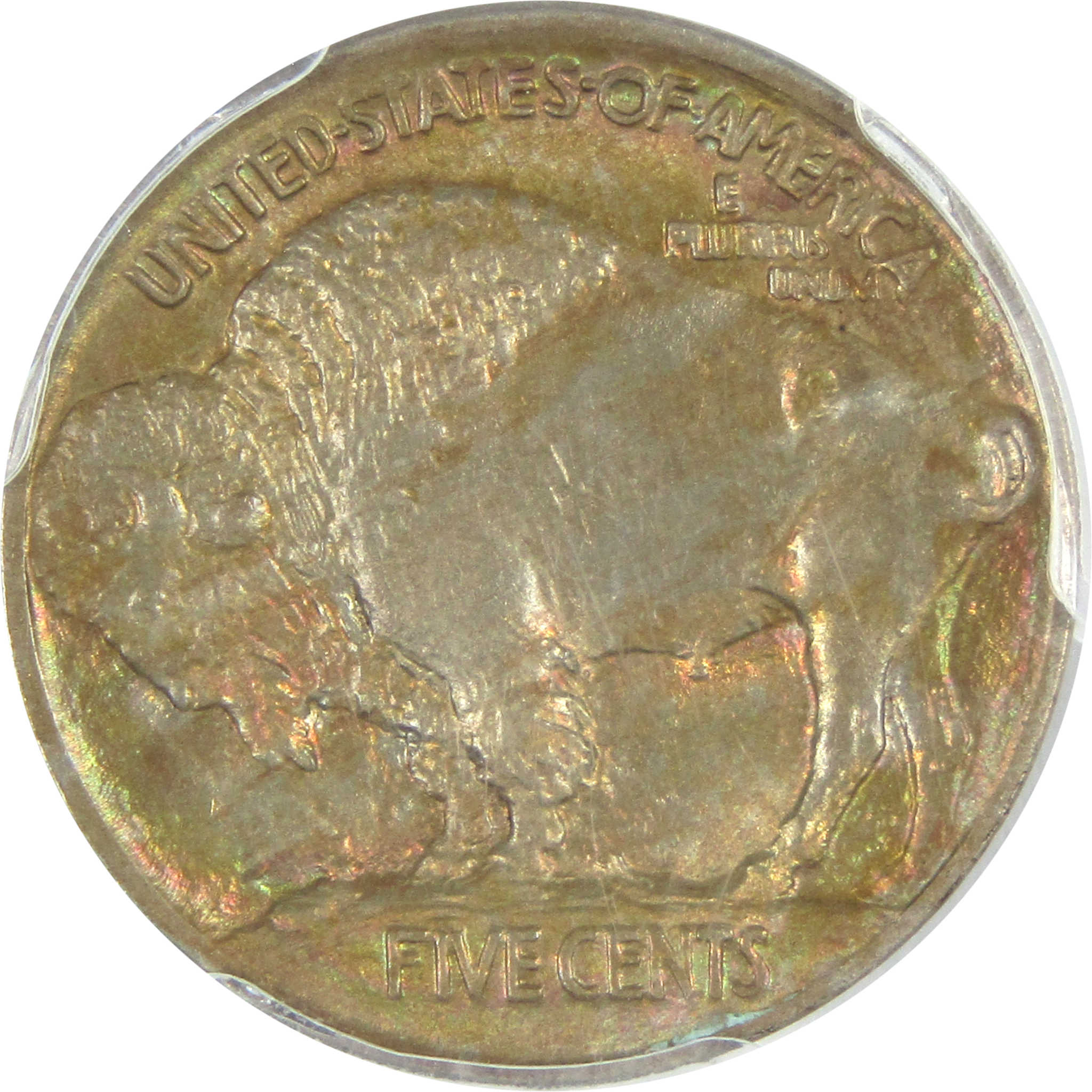 1913 Type 1 Indian Head Buffalo Nickel MS 65 PCGS 5c SKU:CPC8611