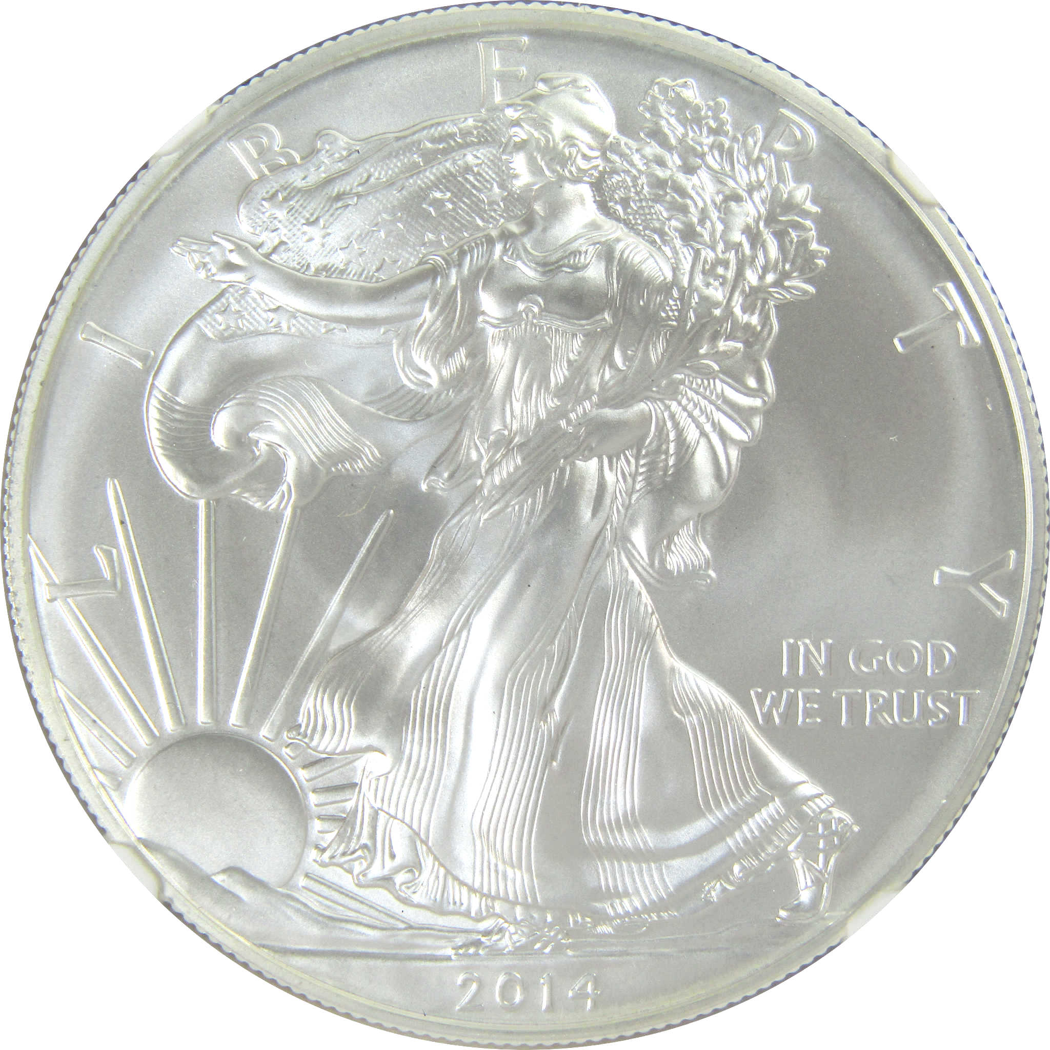 2014 (S) American Silver Eagle MS 70 NGC Early Releases SKU:CPC9425