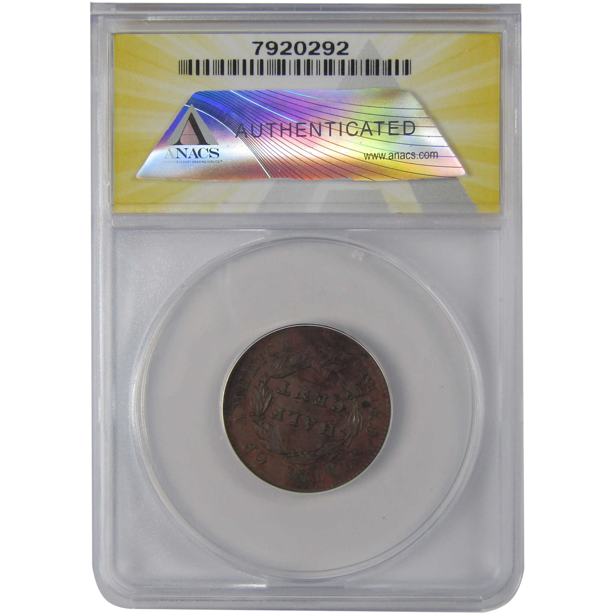 1828 13 Stars C-3 Classic Head Half Cent AU 55 Details ANACS SKU:CP180