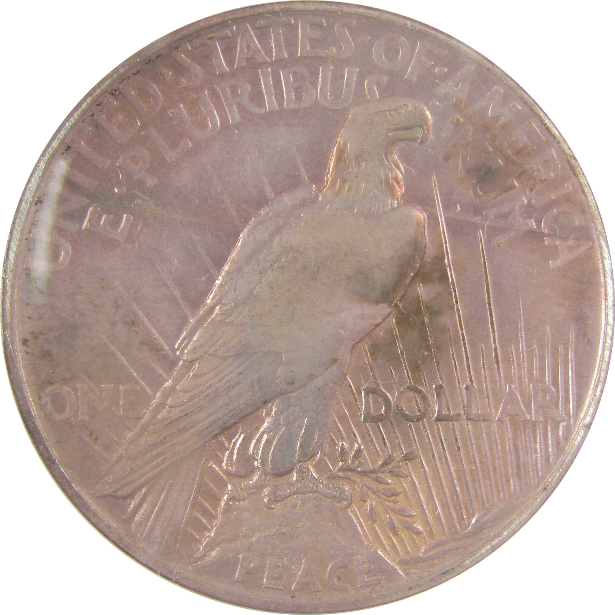 1921 High Relief Peace Dollar EF 40 Details ANACS Silver SKU:I21396