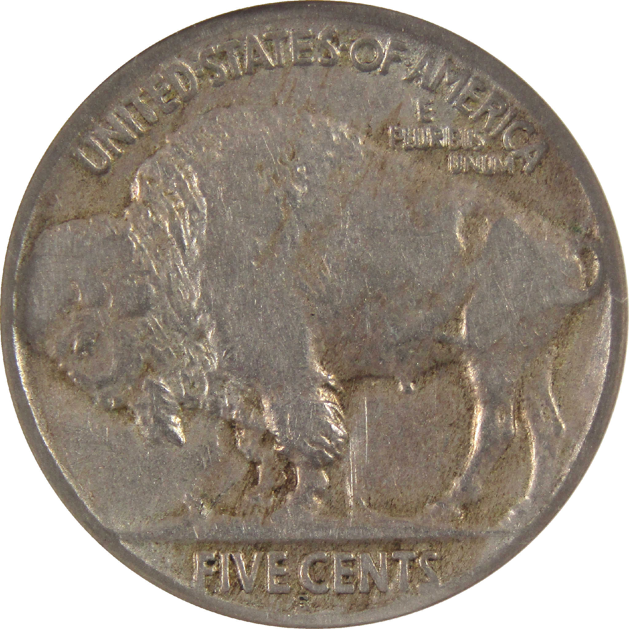 1921 S Indian Head Buffalo Nickel F 15 NGC 5c Coin SKU:I11545