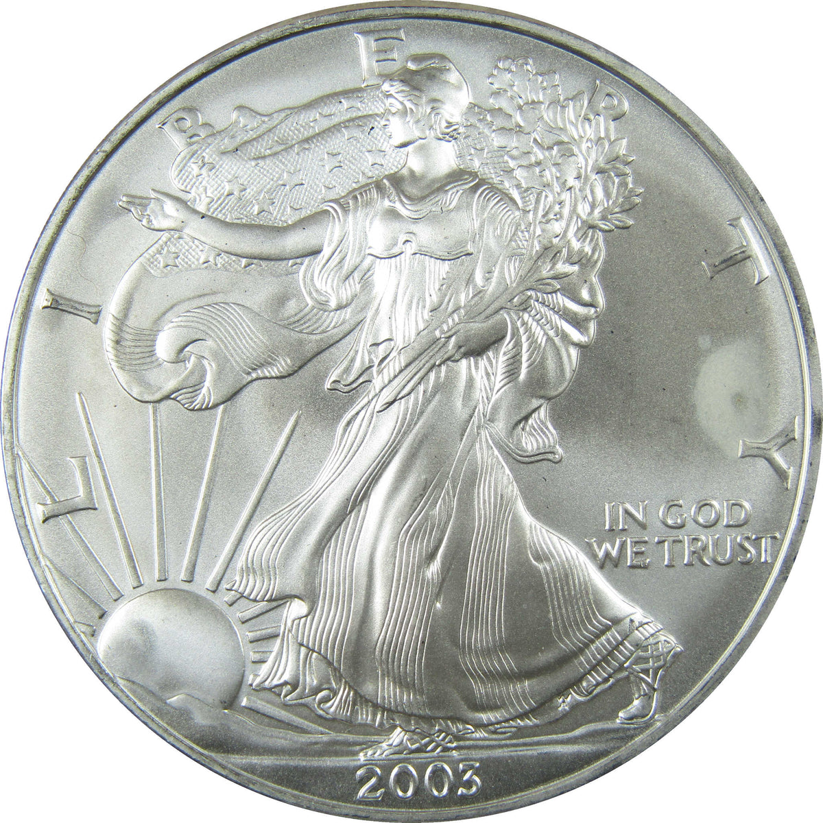 2003 American Silver Eagle Uncirculated Mint State $1 Coin SKU:CP1511