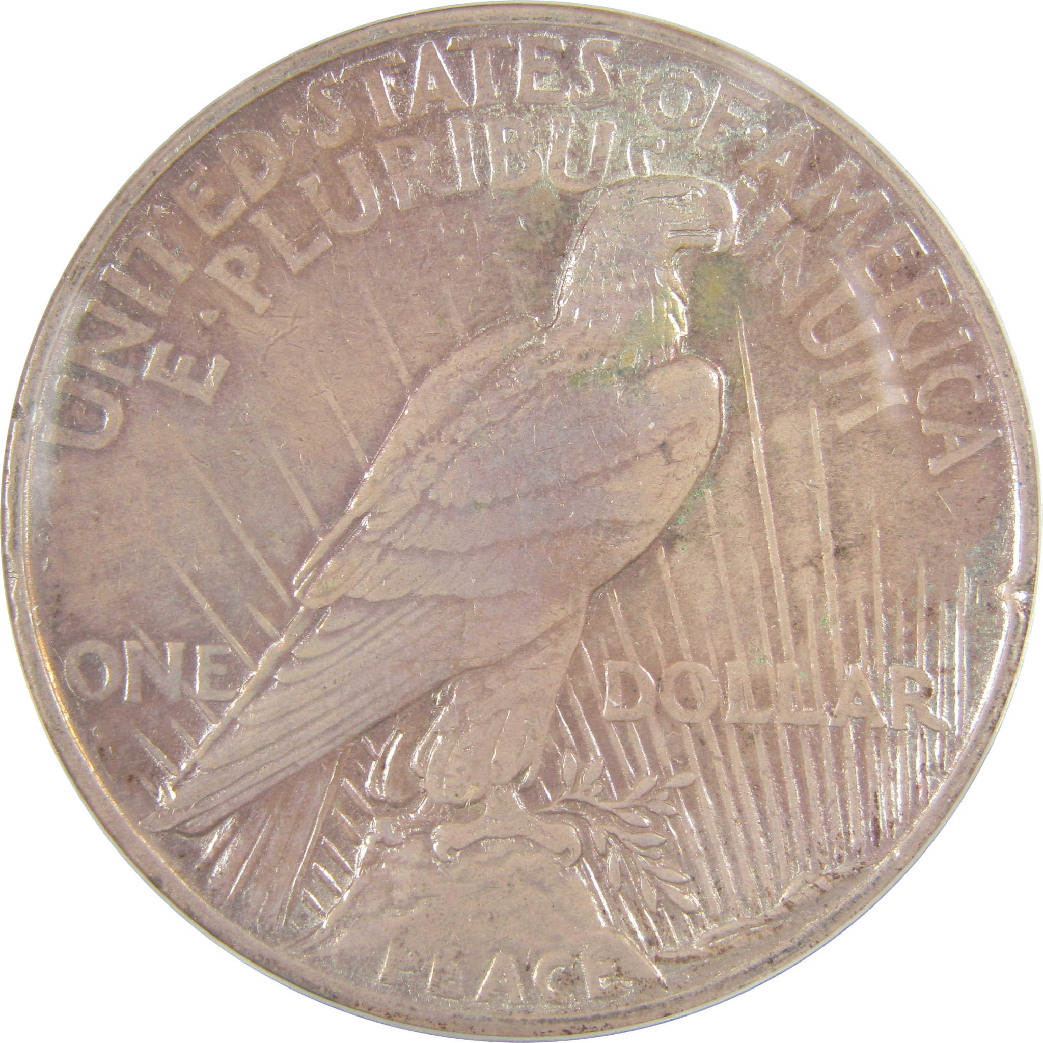 1921 High Relief Peace Dollar EF 40 Details ANACS Silver SKU:I21369