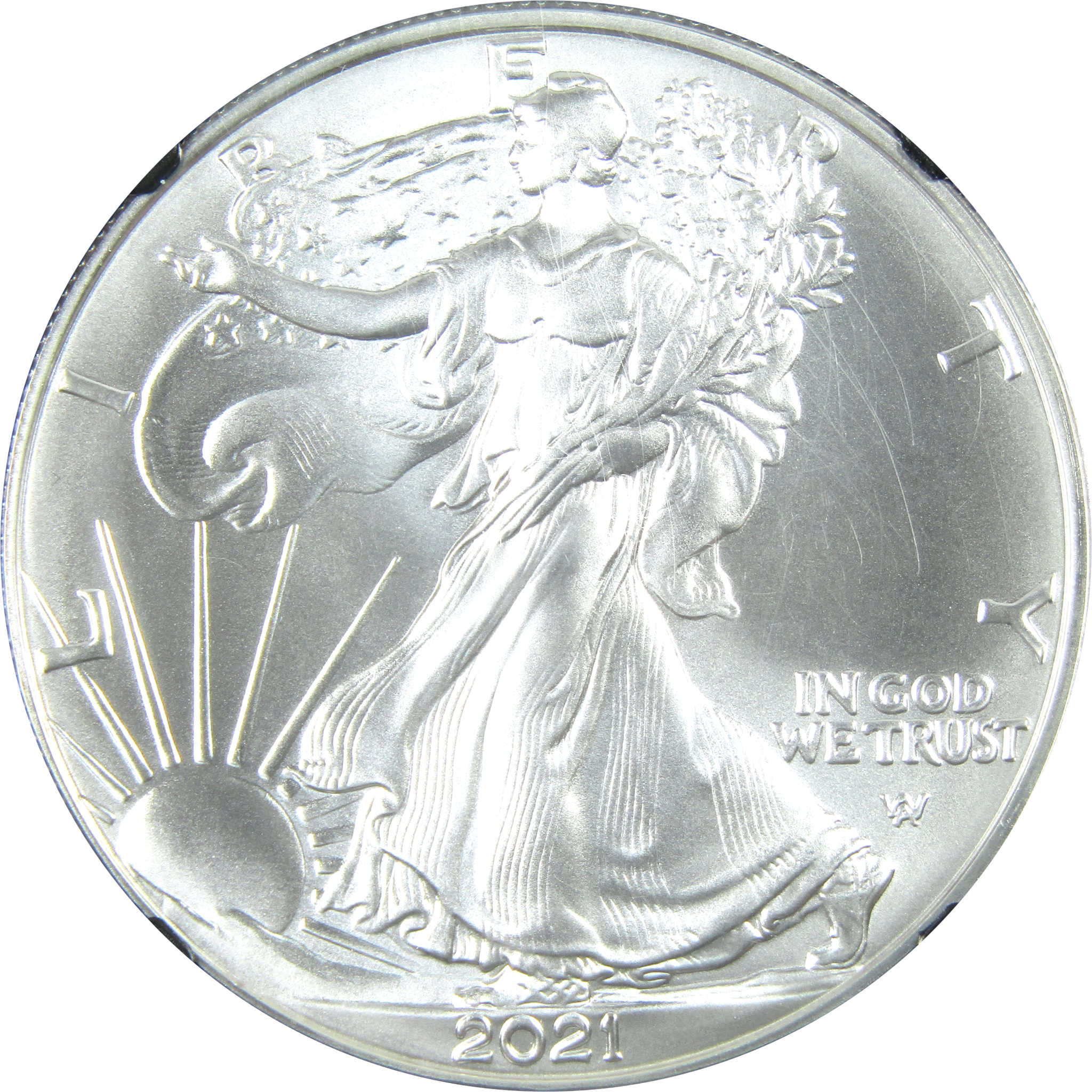 2021 Type 2 American Silver Eagle MS 70 NGC Gaudioso SKU:CPC6689