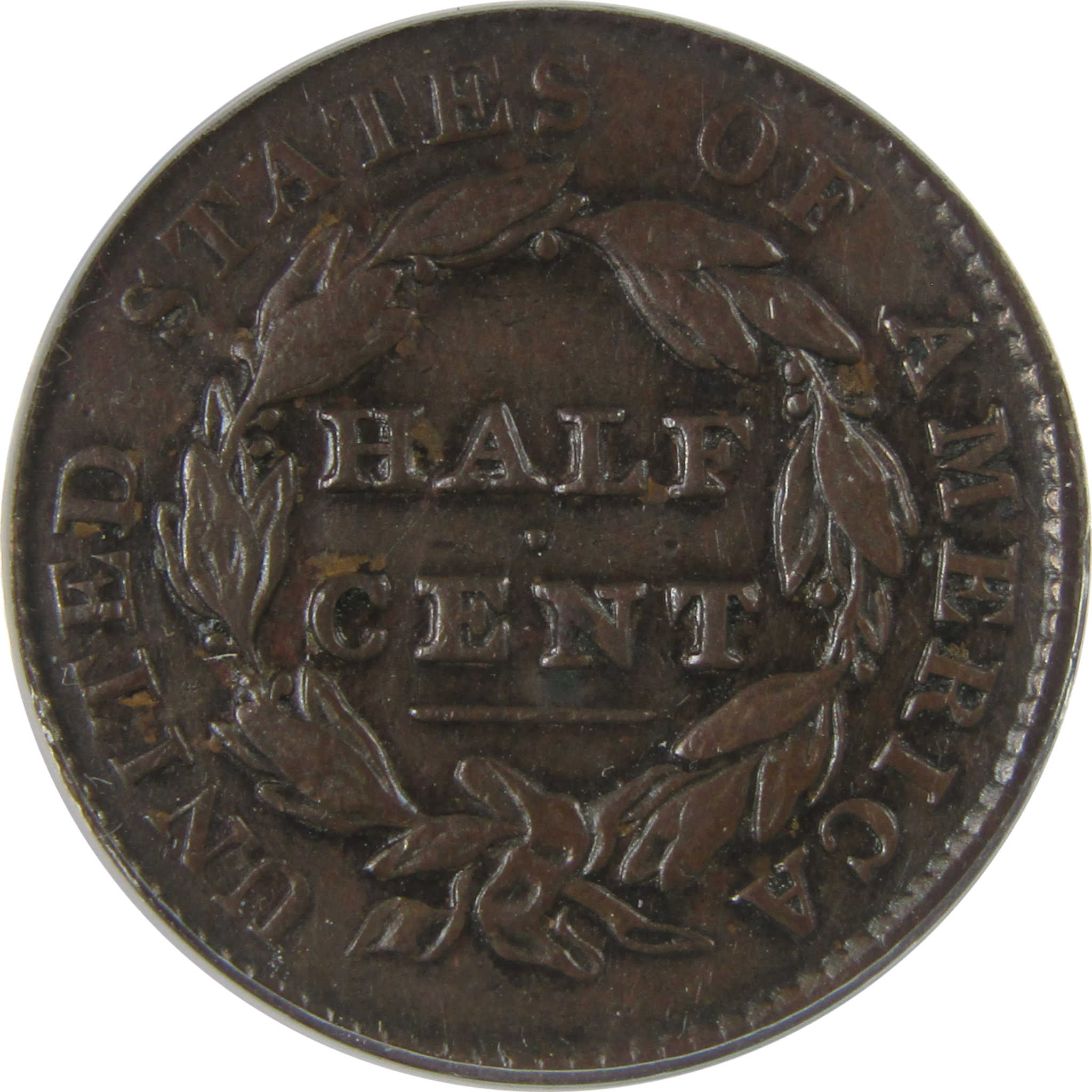 1828 13 Stars Classic Head Half Cent EF 40 Details ANACS SKU:CPC1131