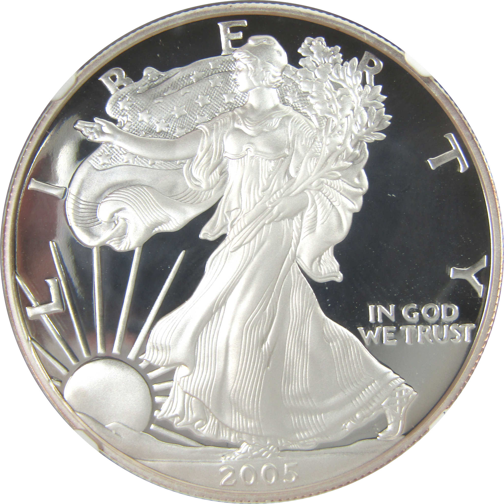 2005 W American Silver Eagle PF 69 UCAM NGC Proof $1 SKU:CPC9583