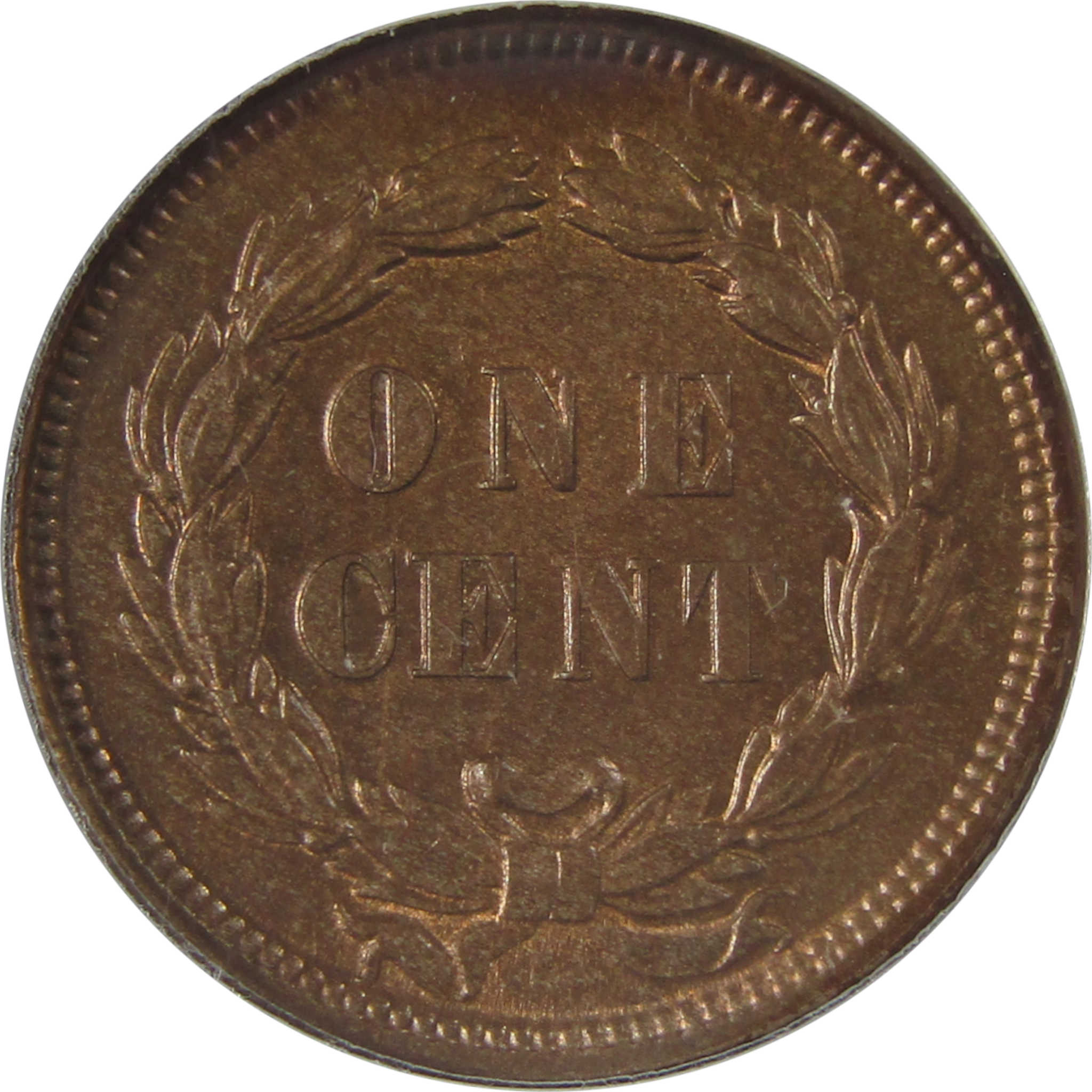 1859 Indian Head Cent MS 63 ANACS Penny Uncirculated SKU:I23637