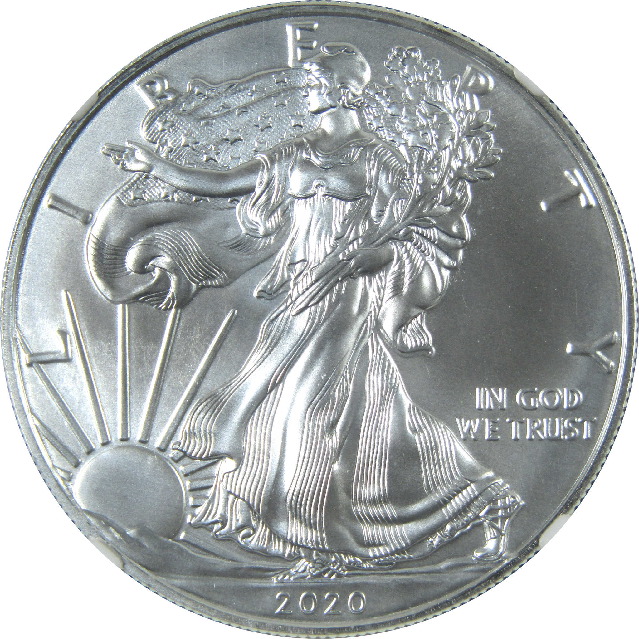 2020 (S) American Silver Eagle MS 70 NGC $1 Emergency SKU:CPC8005