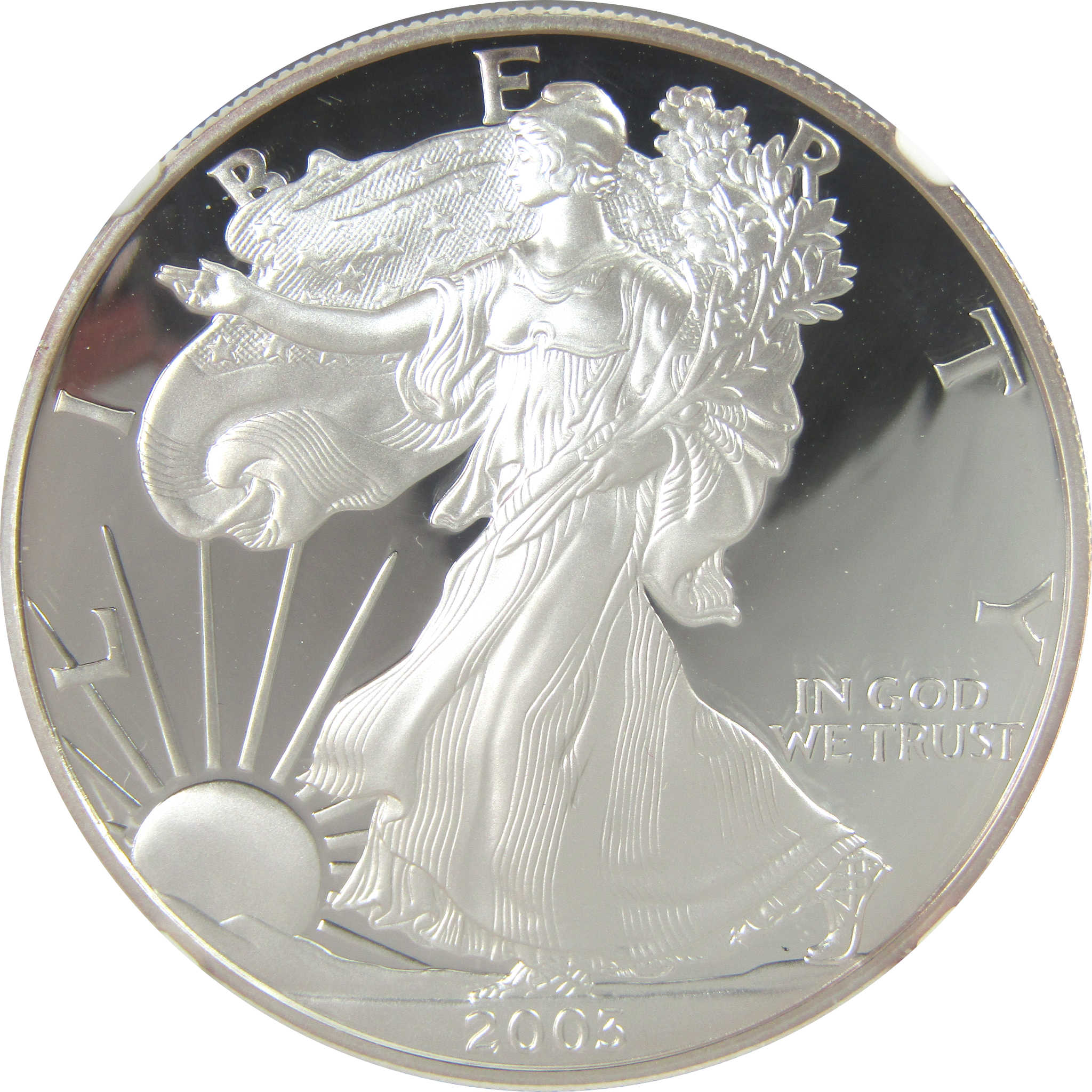 2003 W American Silver Eagle PF 69 UCAM NGC Proof $1 SKU:CPC9577