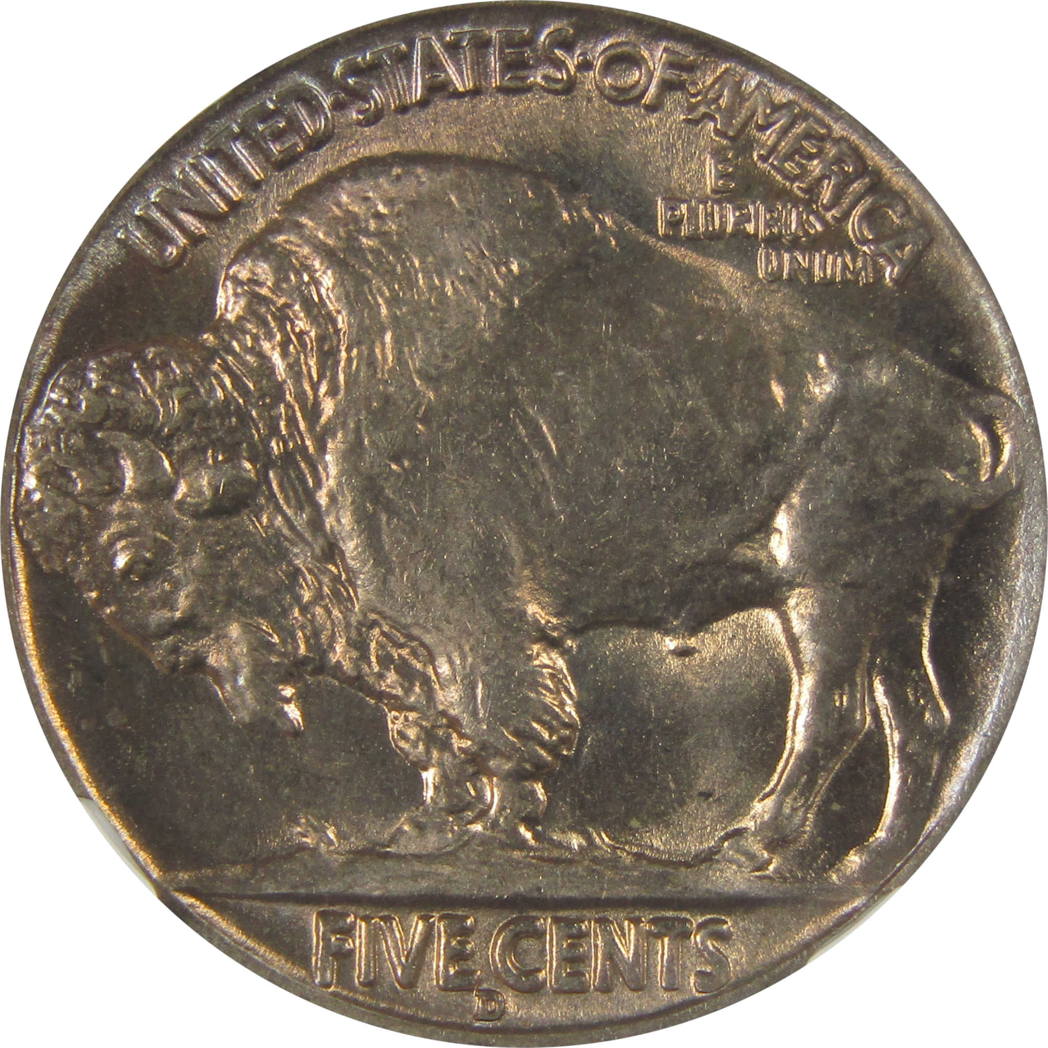1936 D Indian Head Buffalo Nickel MS 65 NGC Bag Fragment SKU:I22654