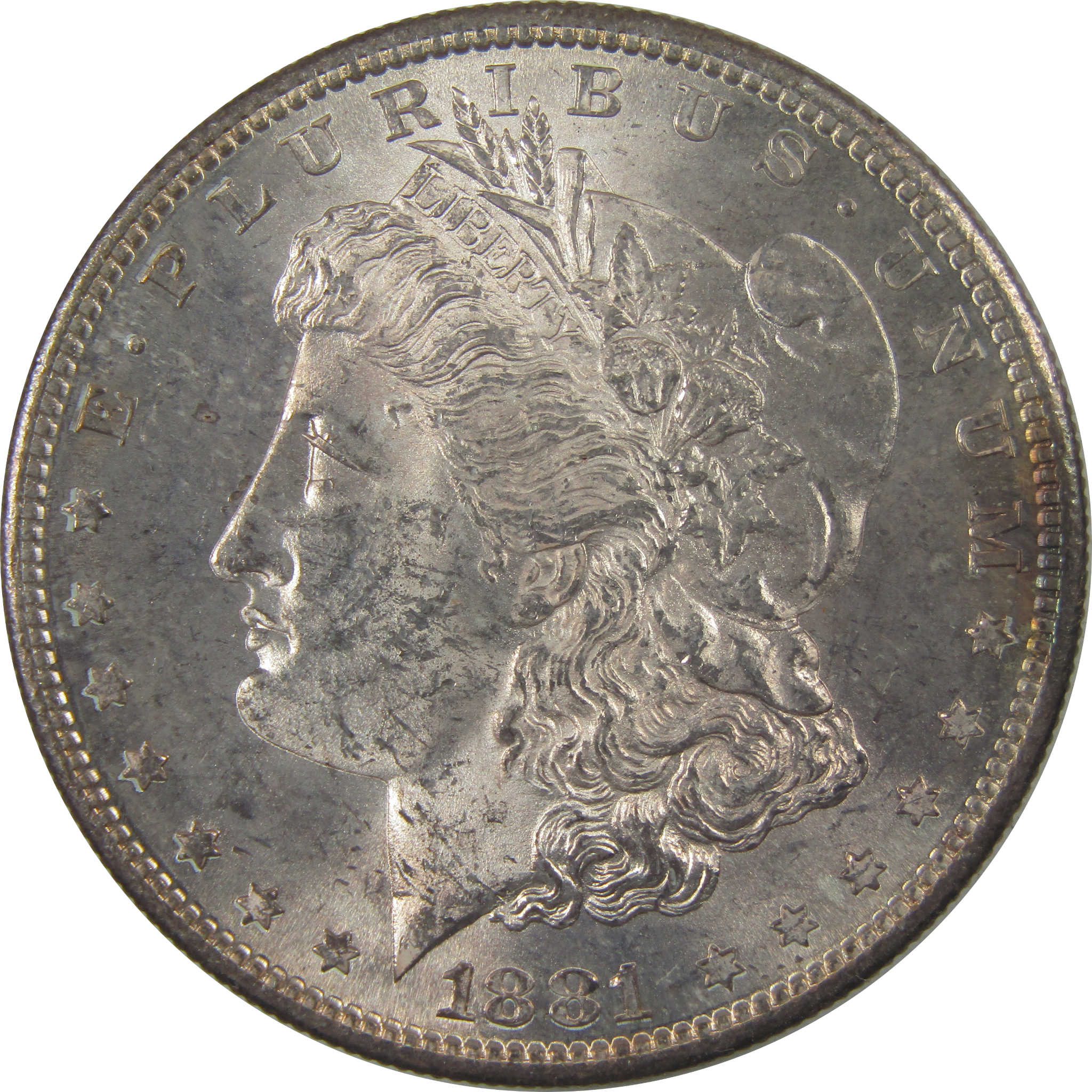 1881 S Morgan Silver Dollar Uncirculated Mint State Toned SKU:I24084
