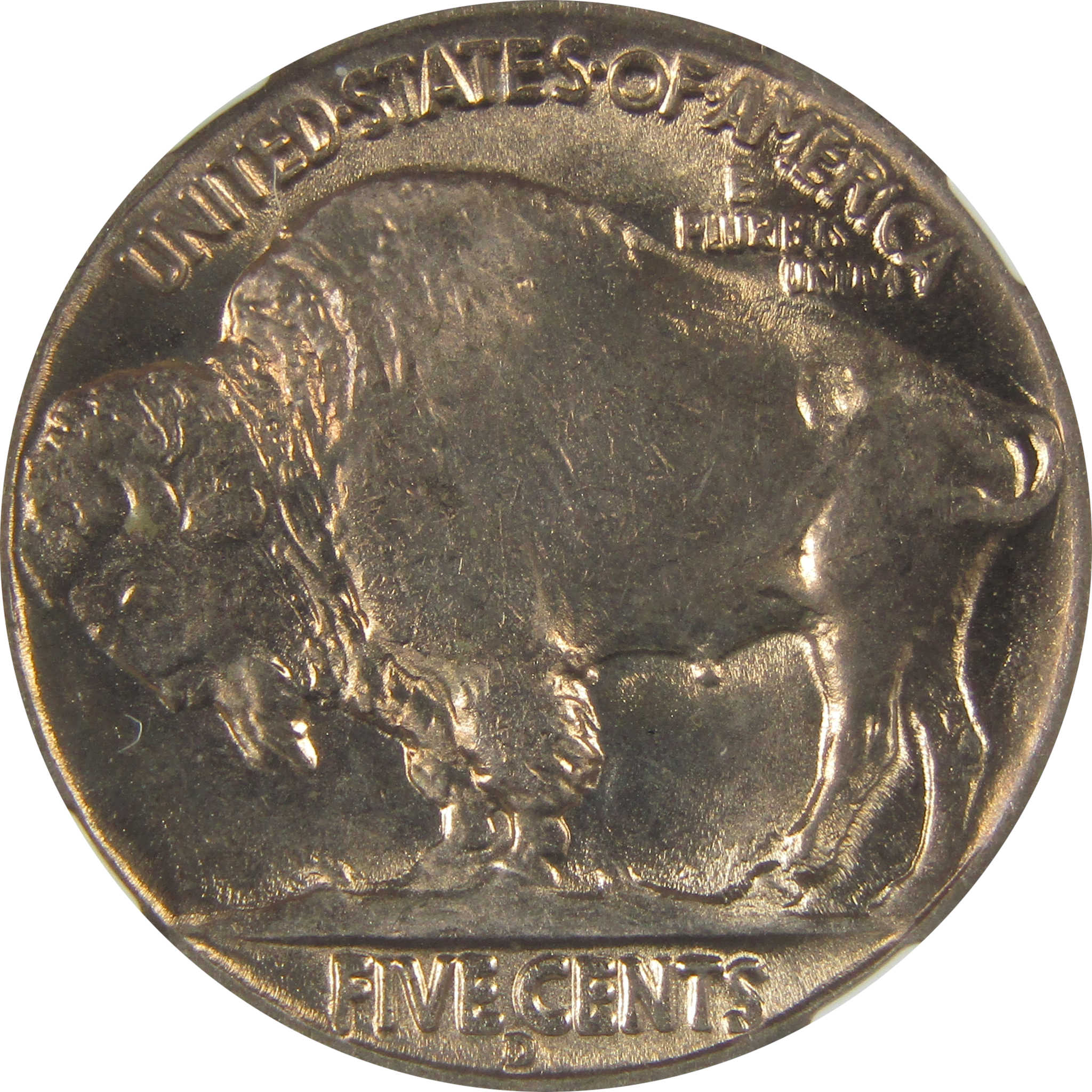 1936 D Indian Head Buffalo Nickel MS 66 NGC Bag Fragment SKU:I22663