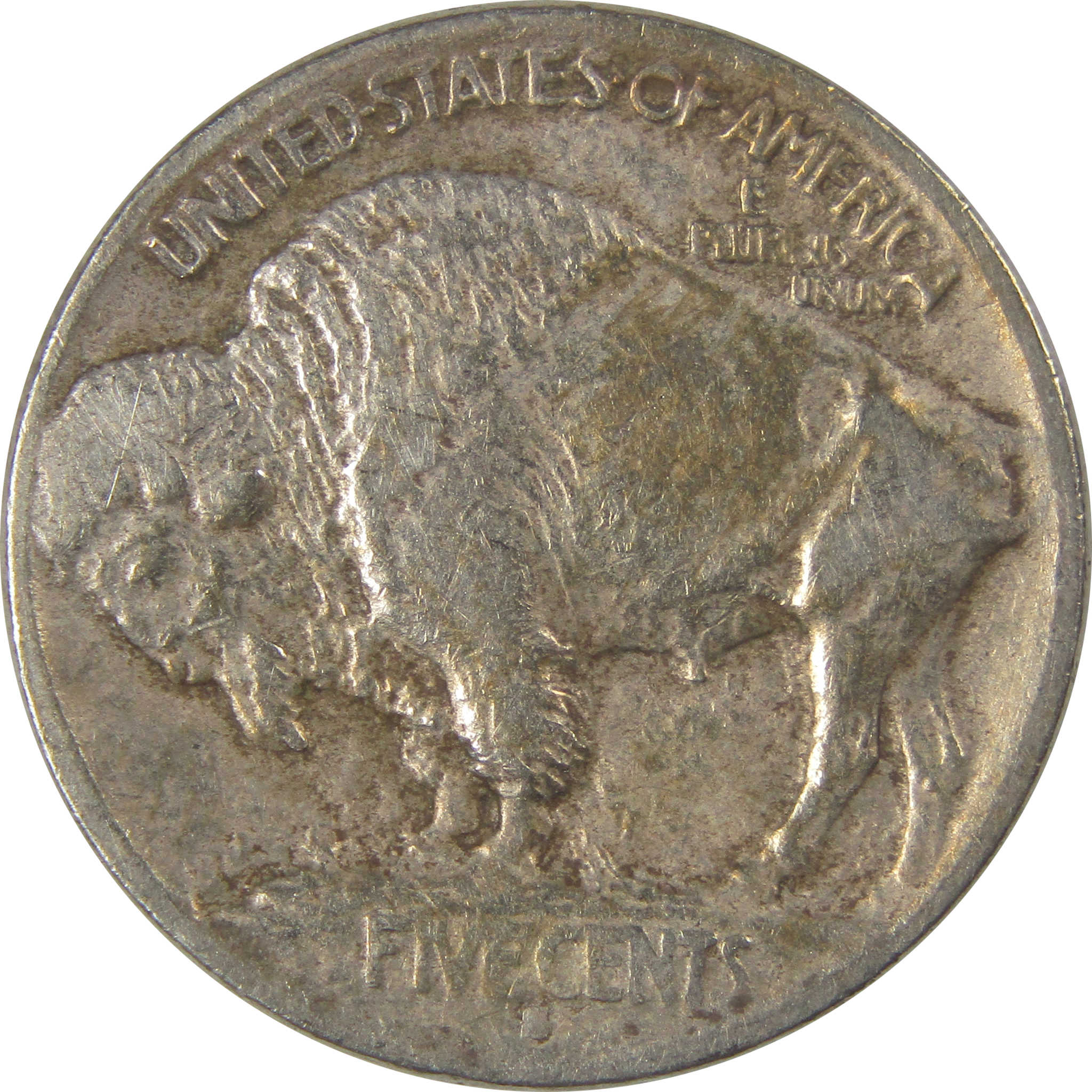 1913 S Type 1 Indian Head Buffalo Nickel F Fine Details SKU:I22906
